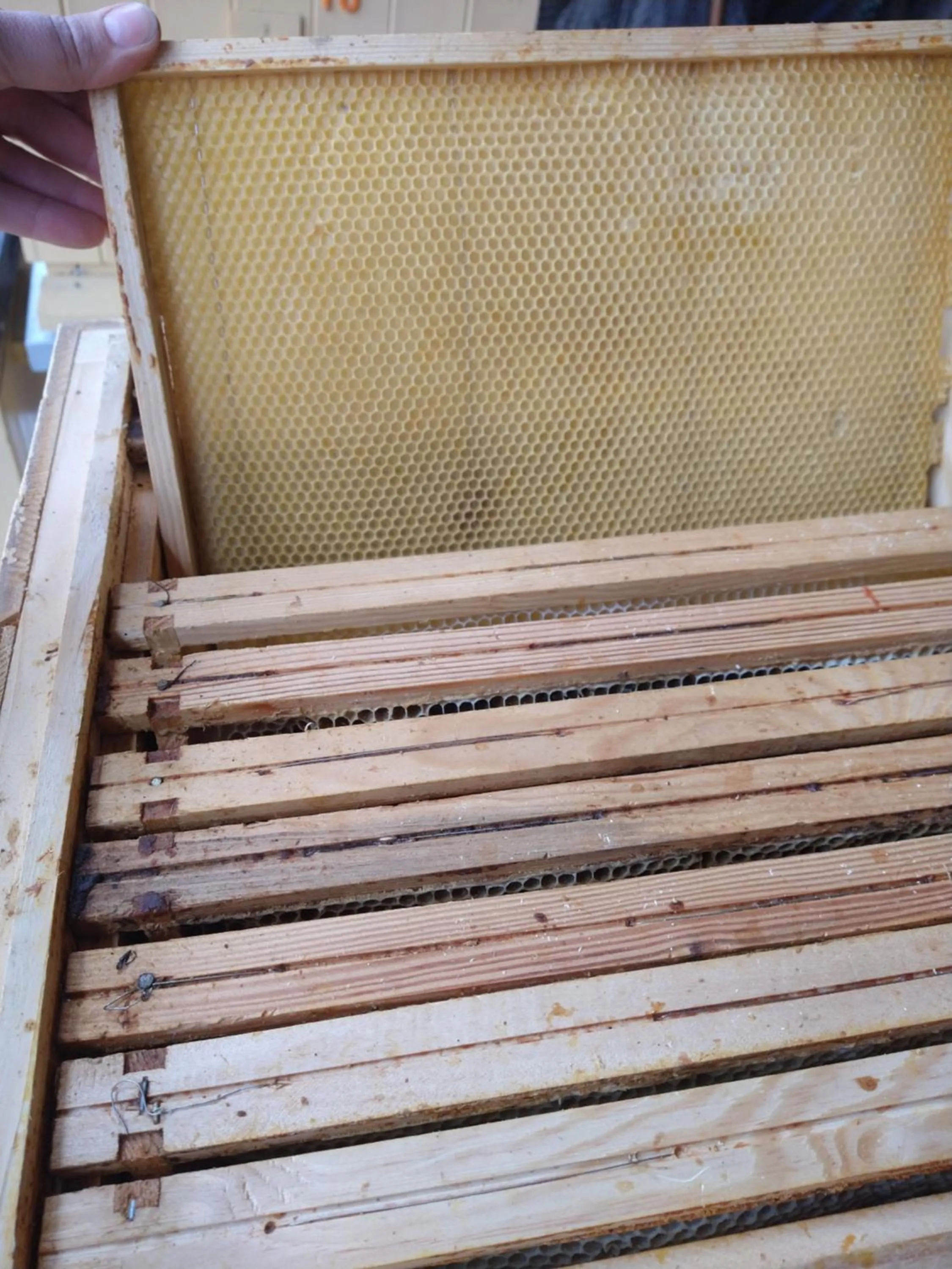 Agroturystyka Cold Sea