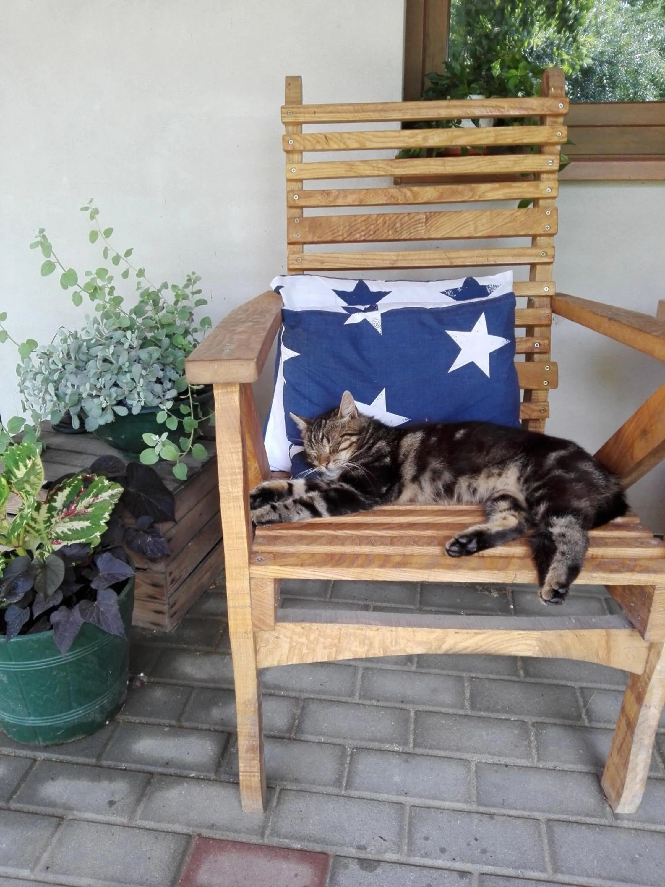 Agroturystyka Cold Sea