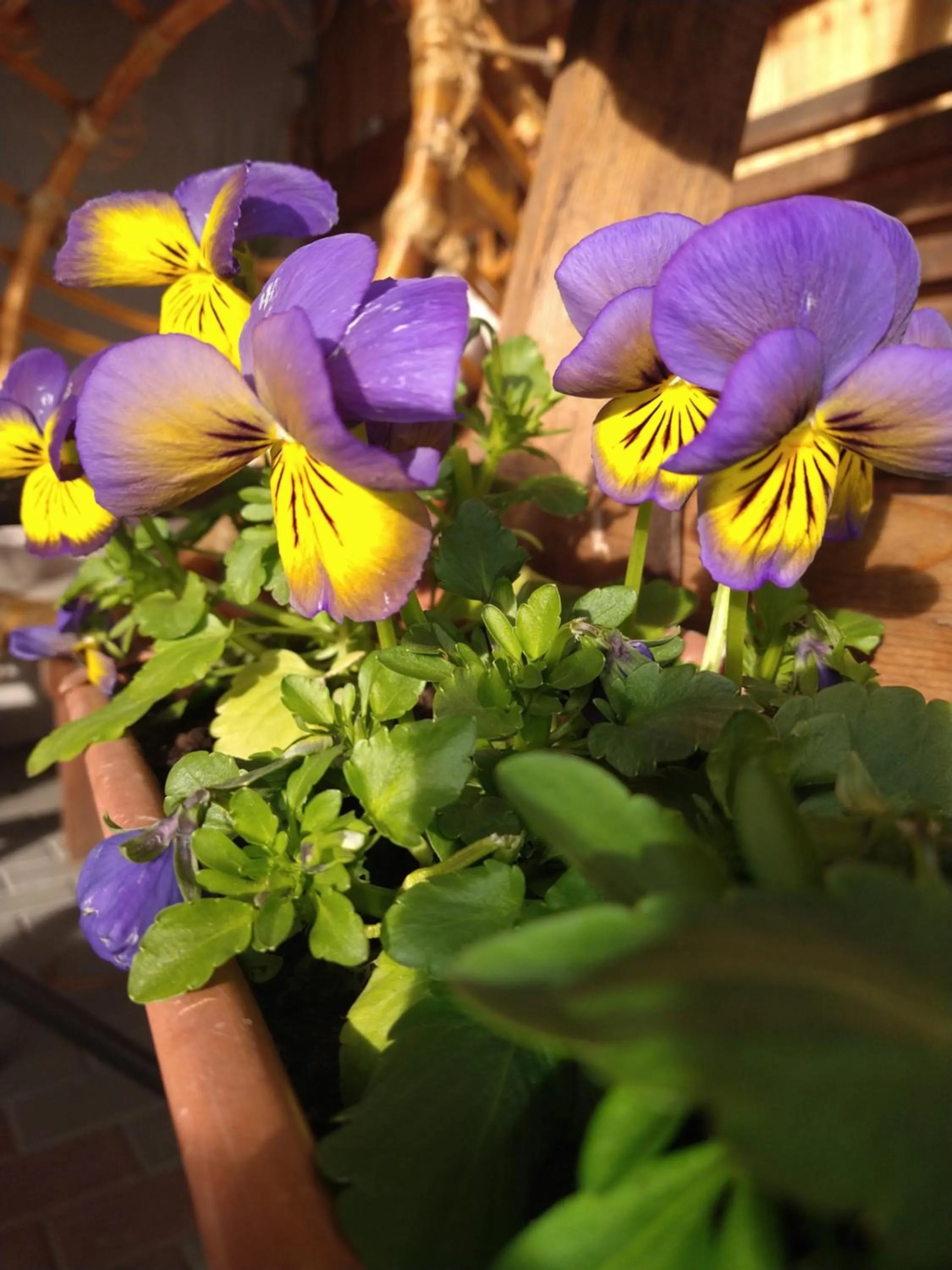 Agroturystyka Cold Sea