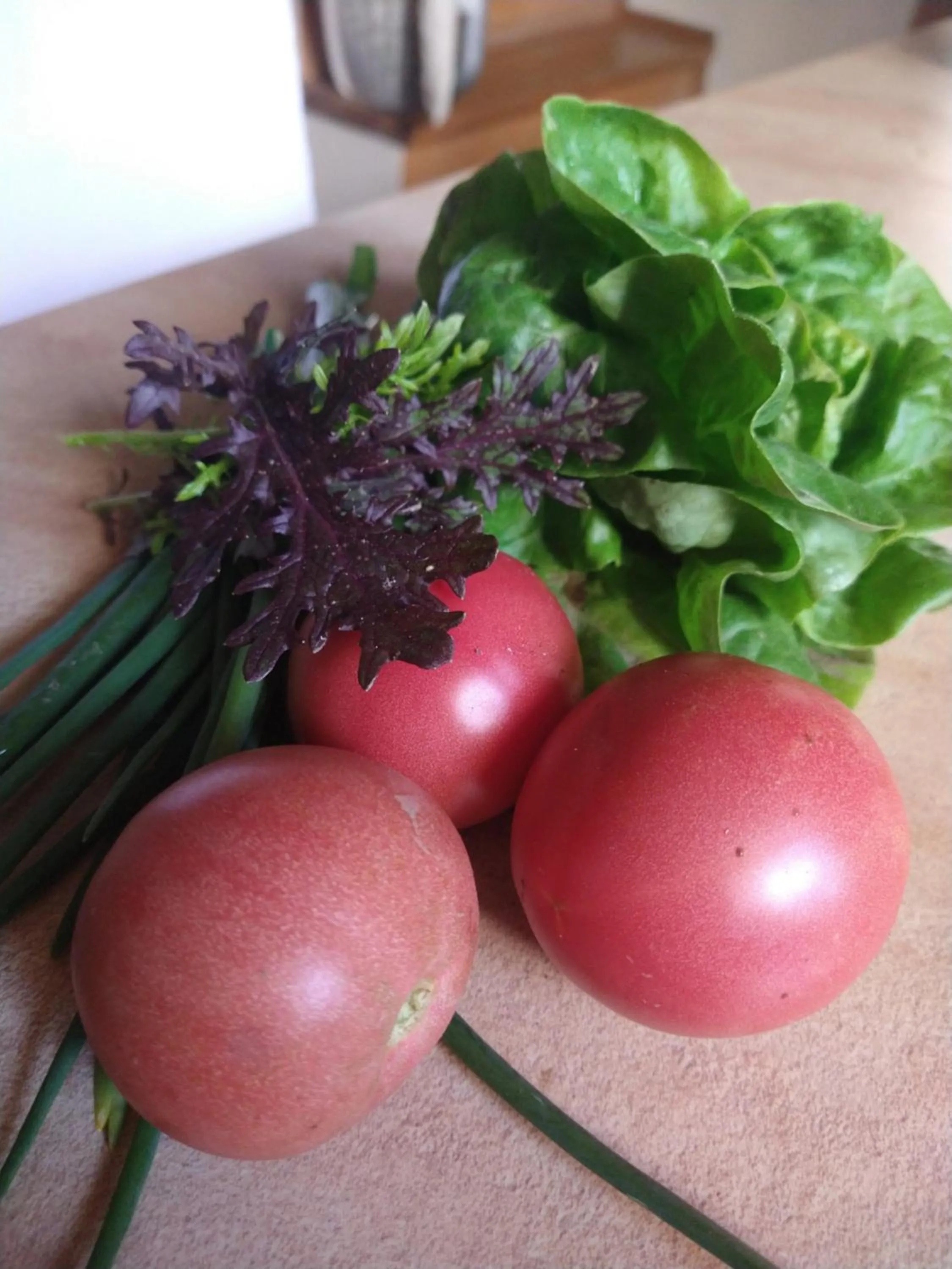Food and drinks in Agroturystyka Cold Sea