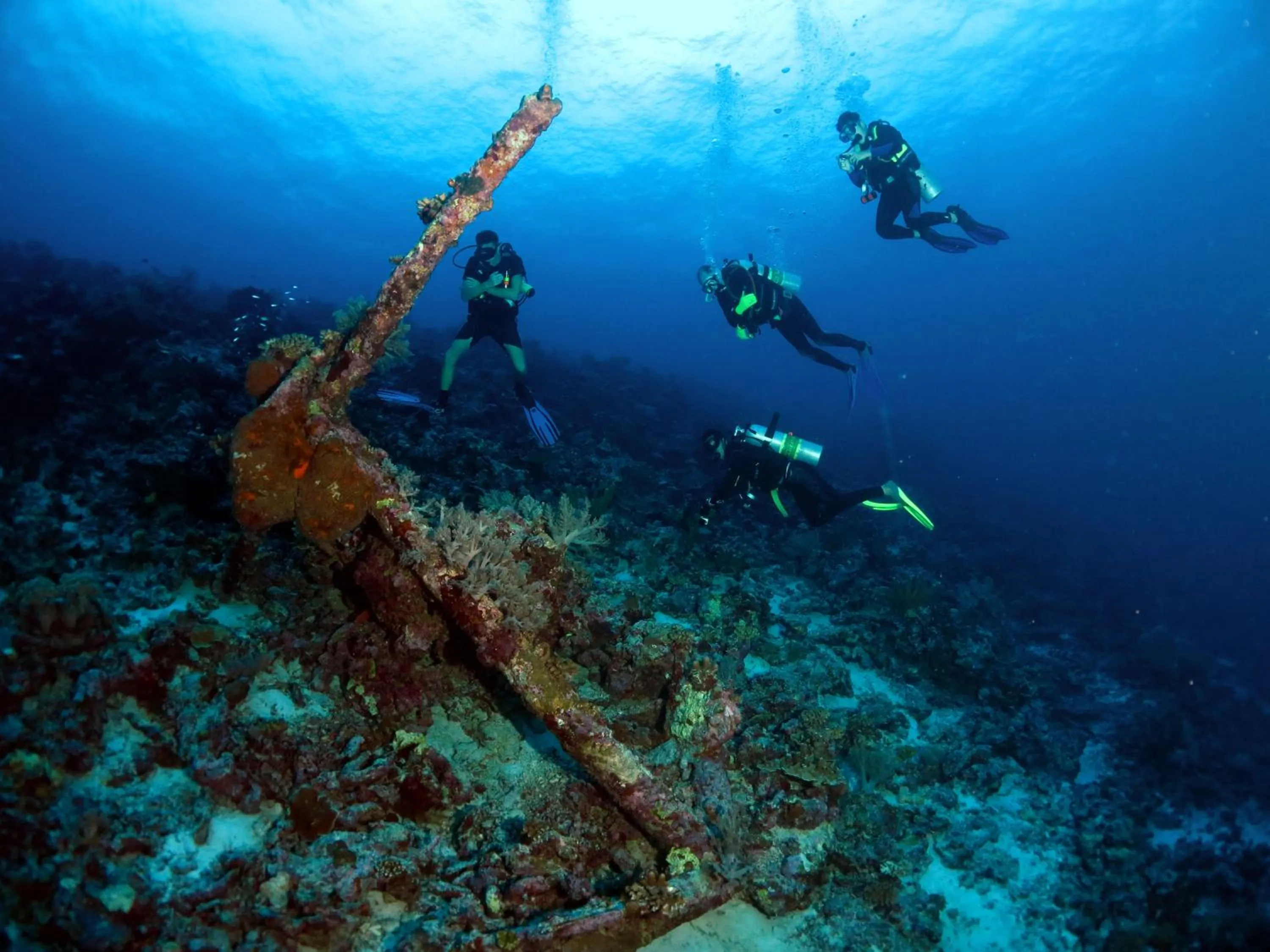 Diving in Poni Homestay