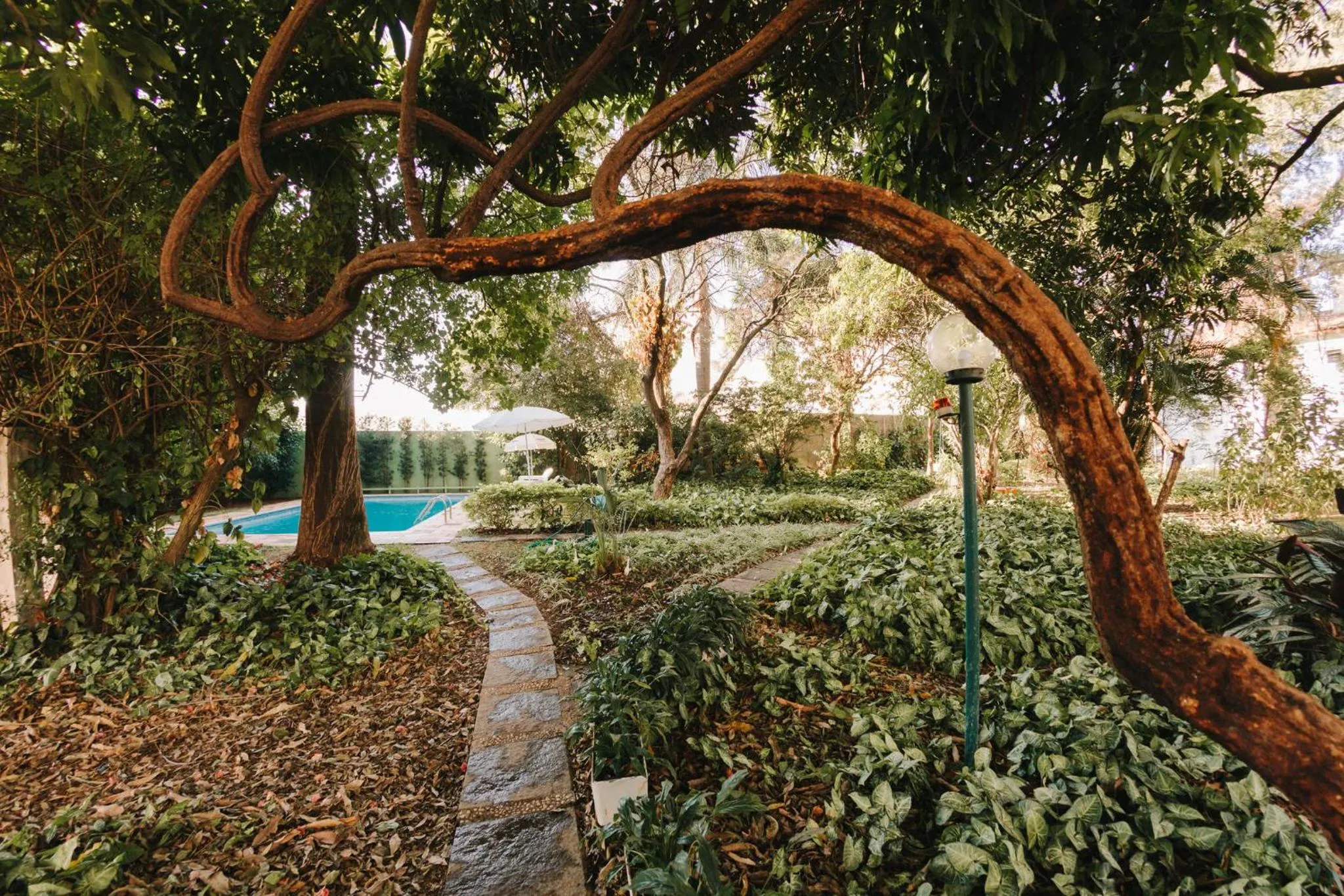 Garden in Hotel Passaledo