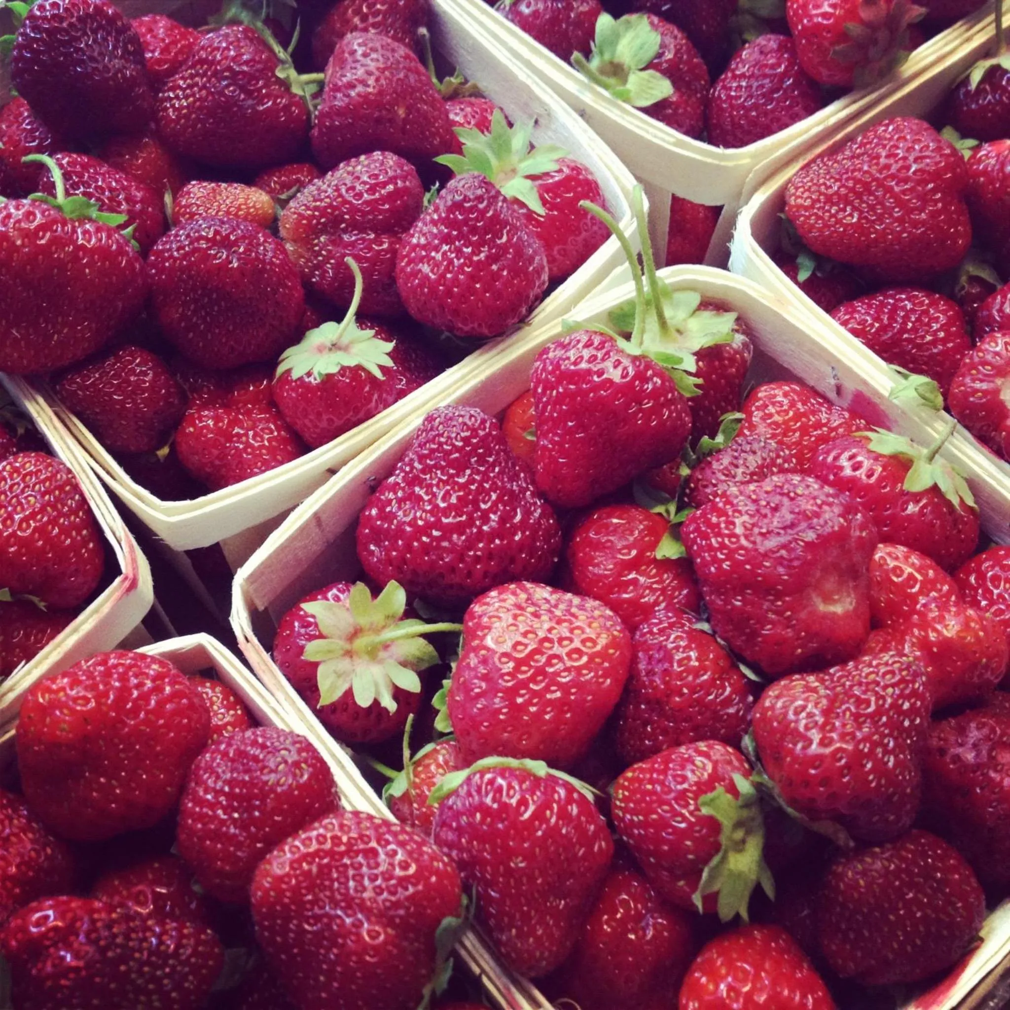 Food in Belgravia B&B