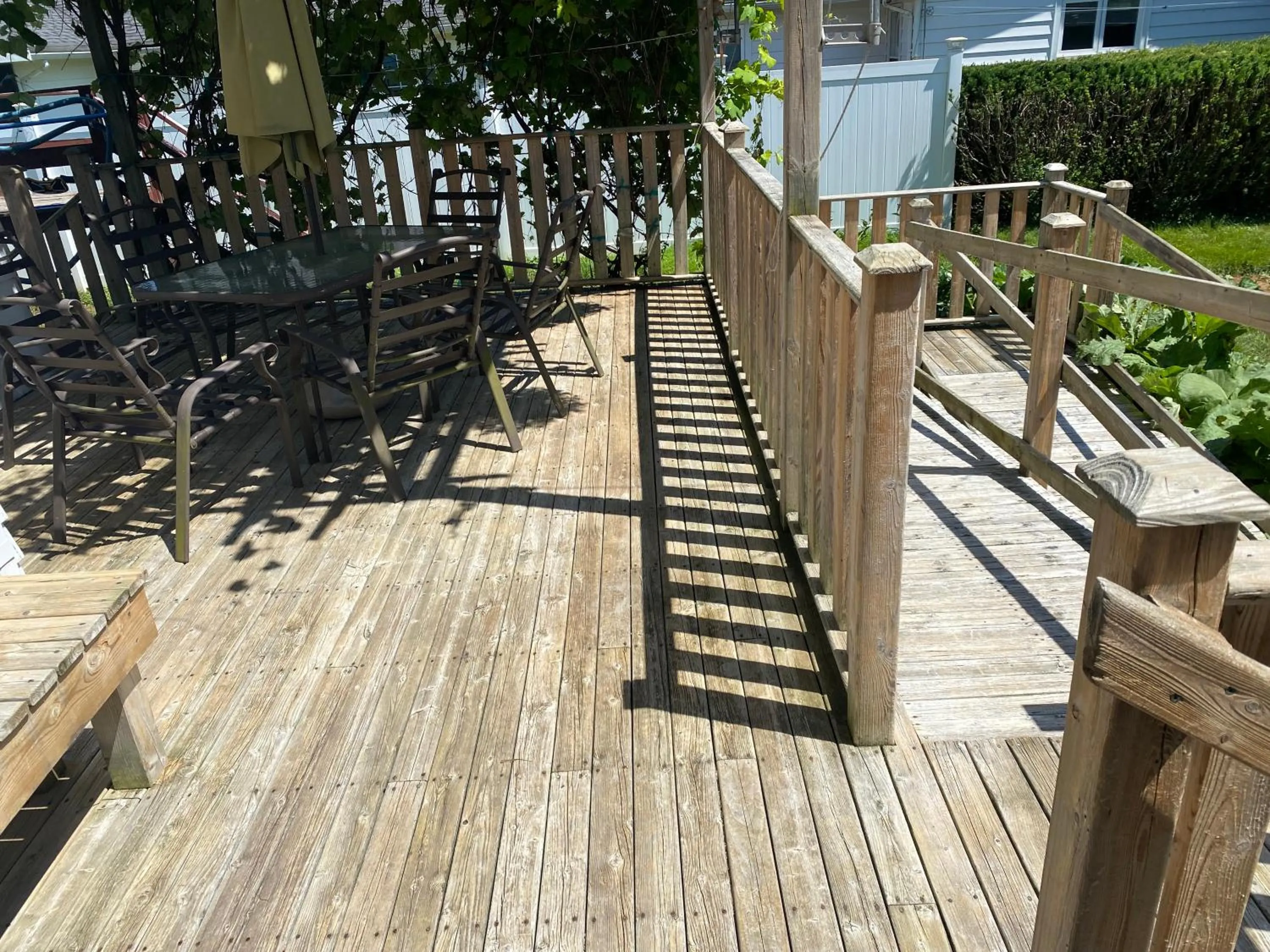 Garden in Belgravia B&B