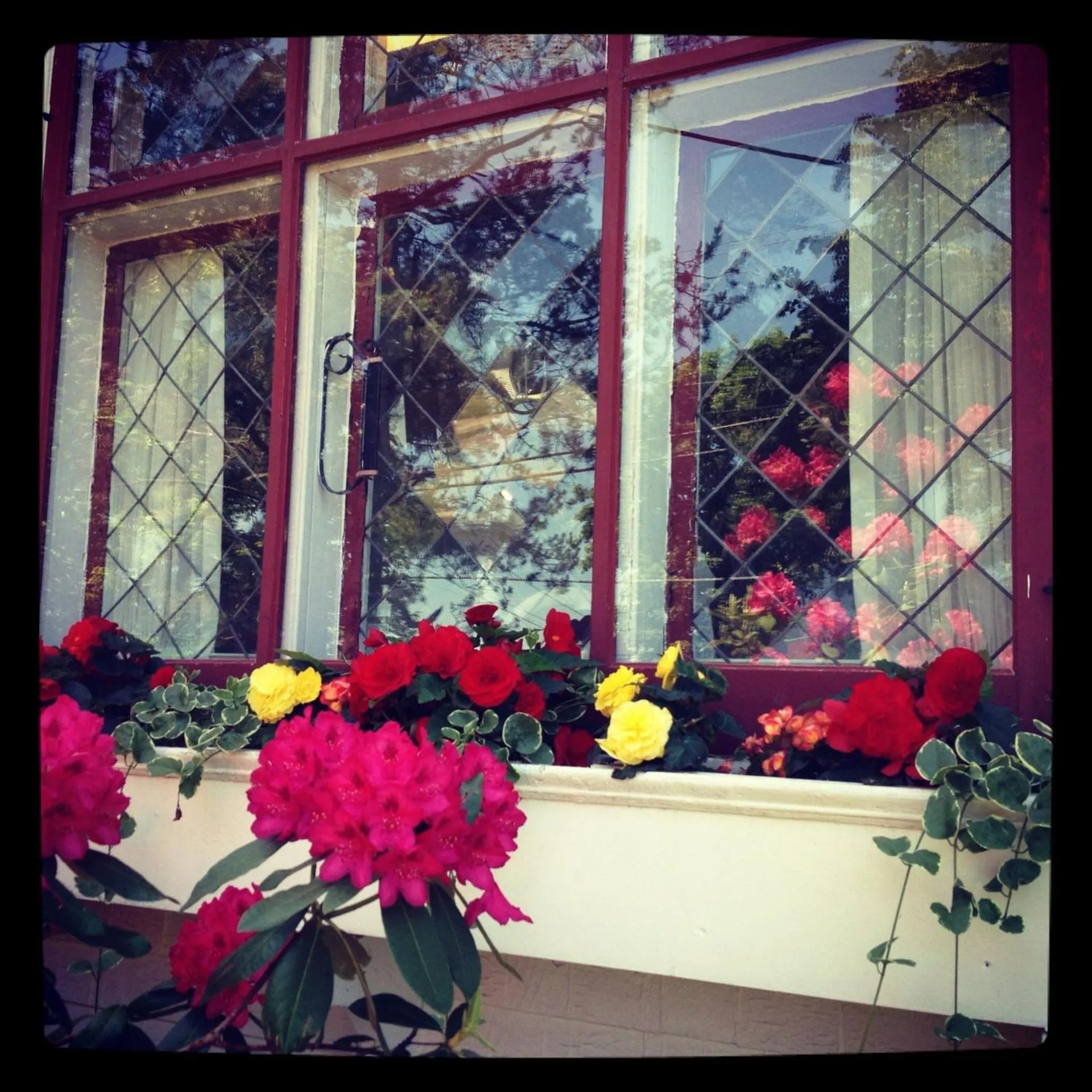 Spring in Belgravia B&B