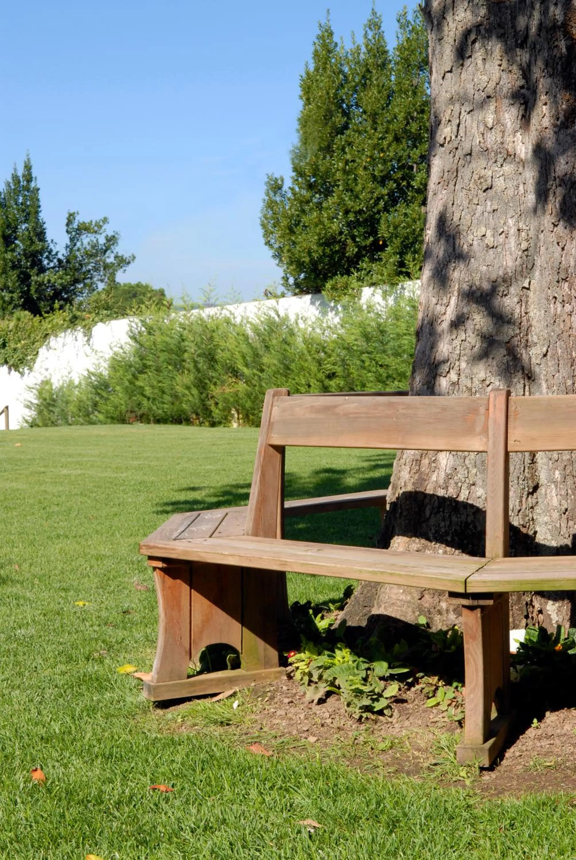 Garden in Palacio da Lousa Boutique Hotel