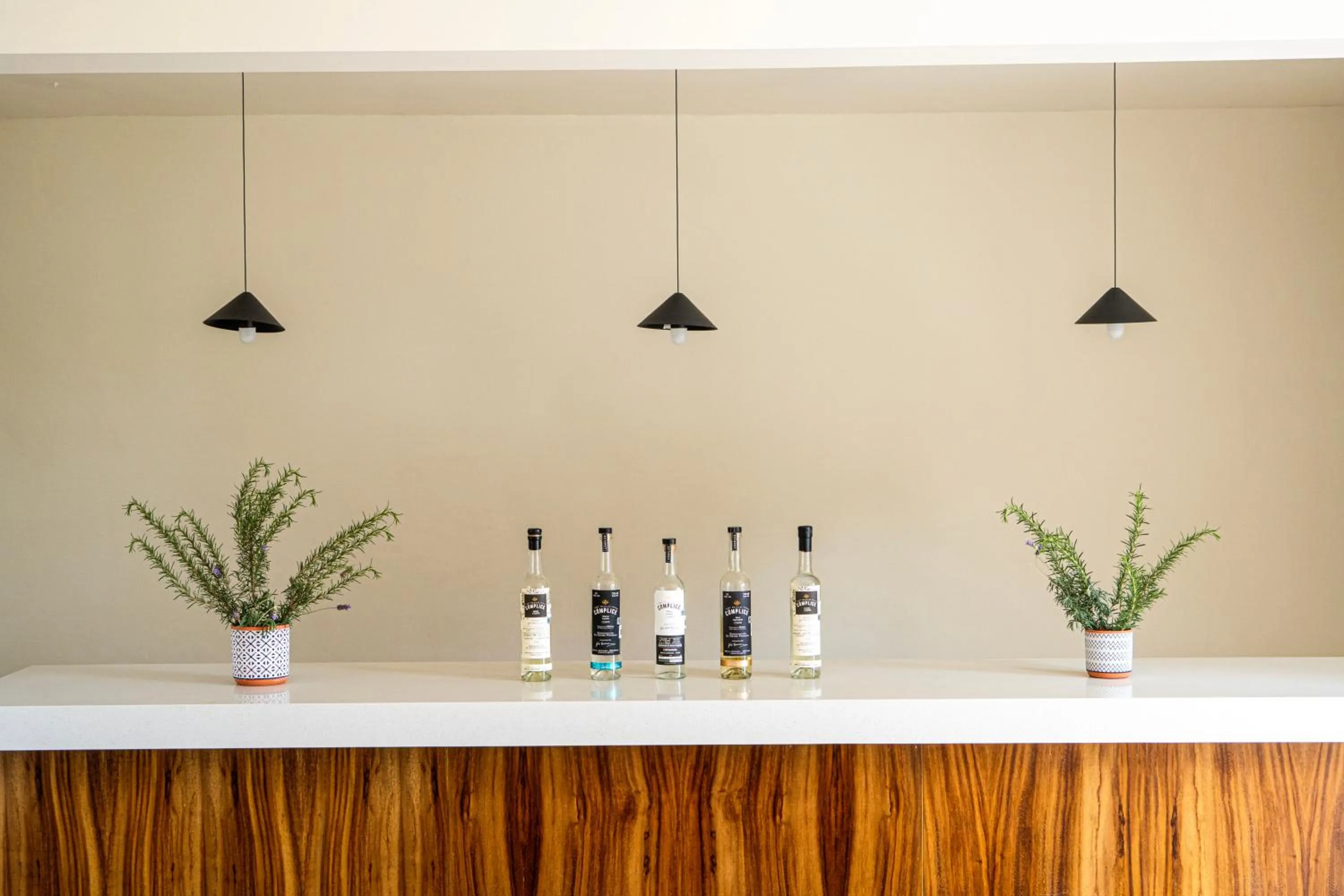 Lounge or bar in Casa Bonita Hotel & Luxury Residence