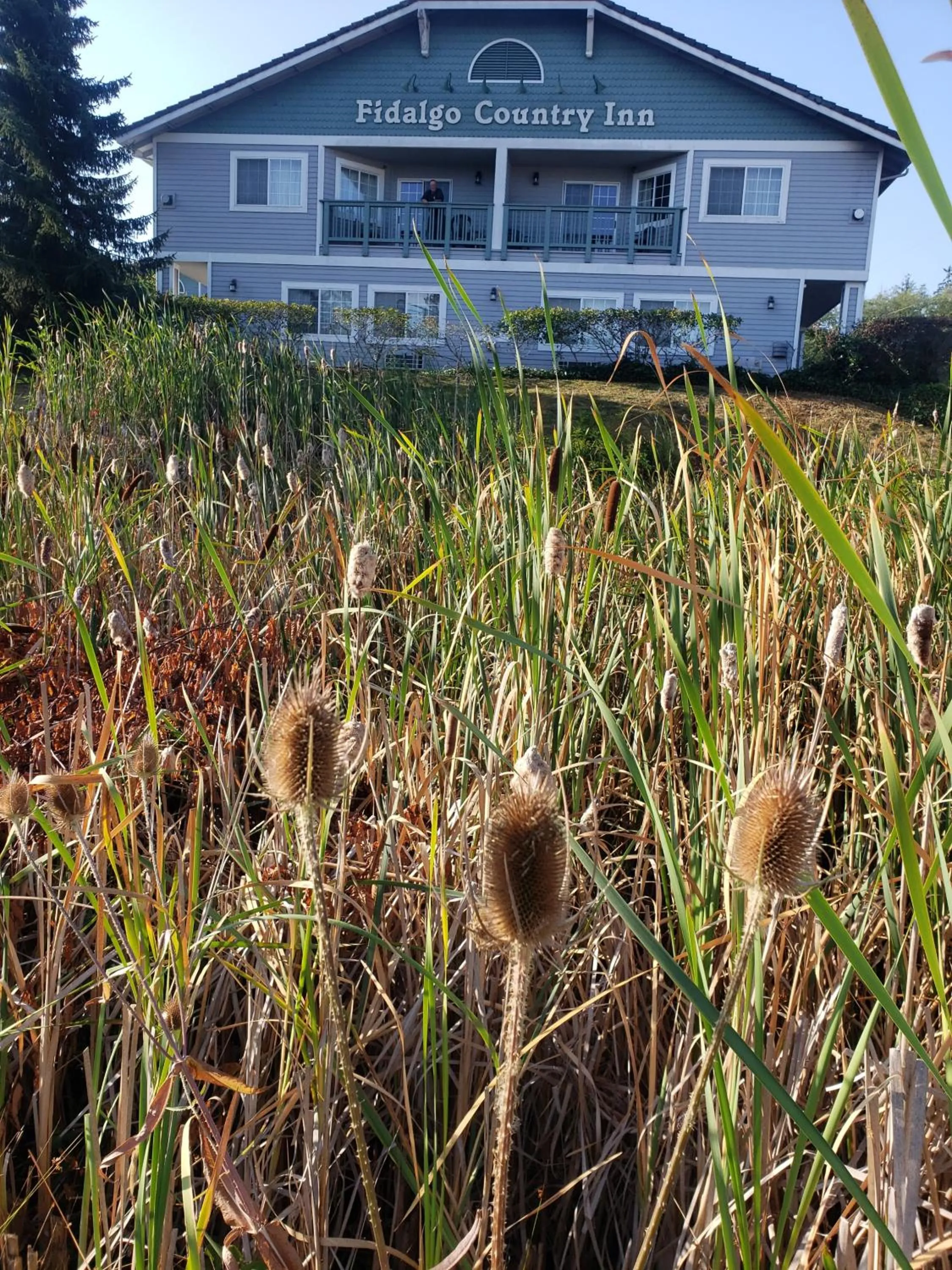 Fidalgo Country Inn