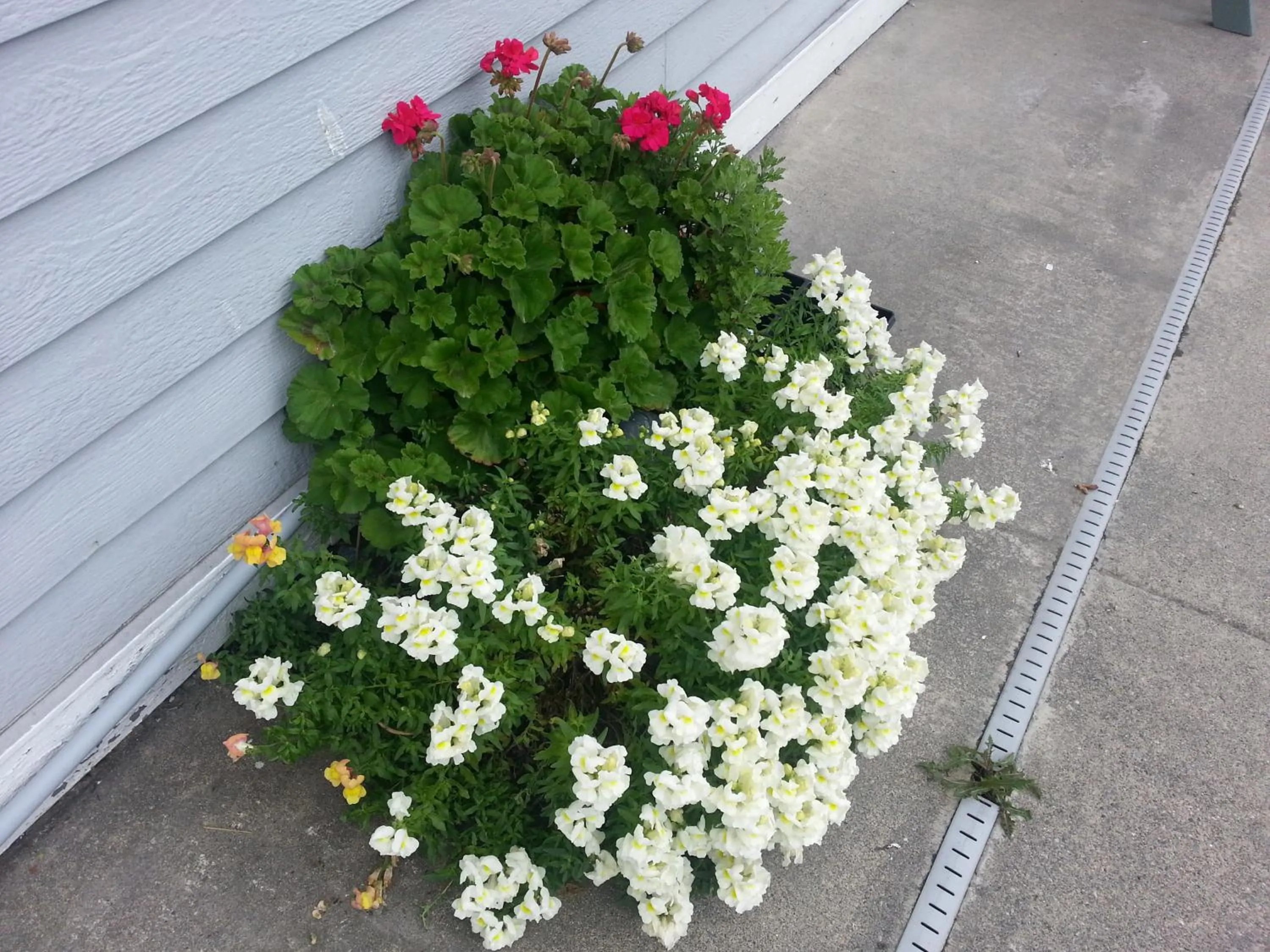 Other in Fidalgo Country Inn