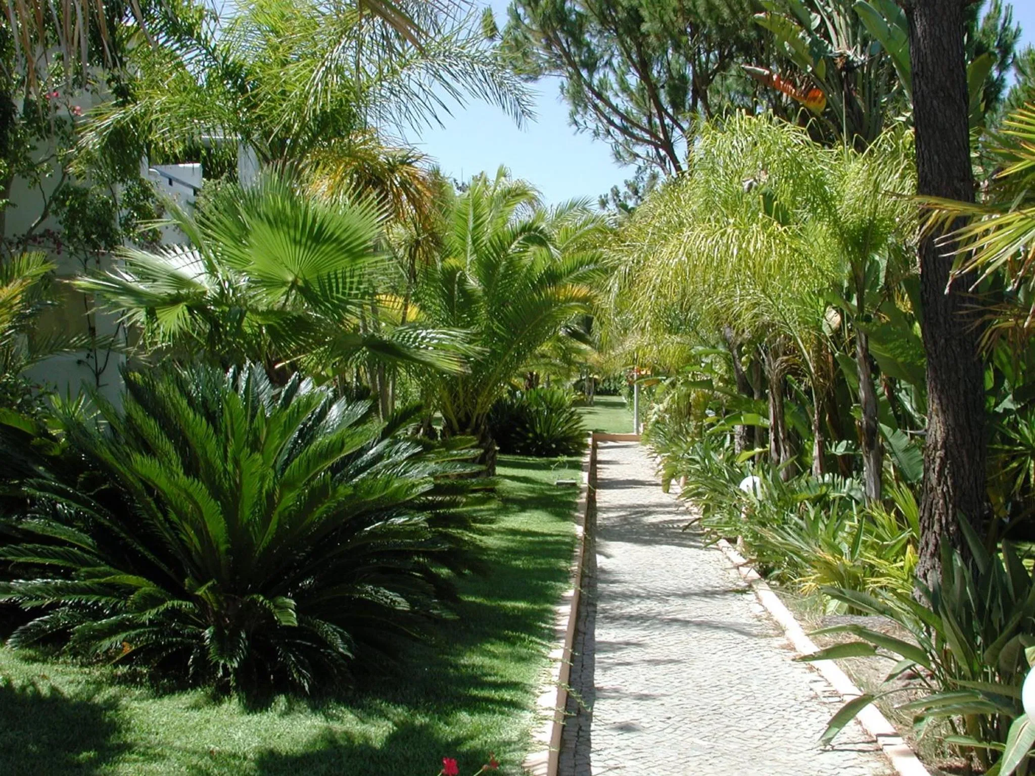 Garden in Vale Do Garrao Villas