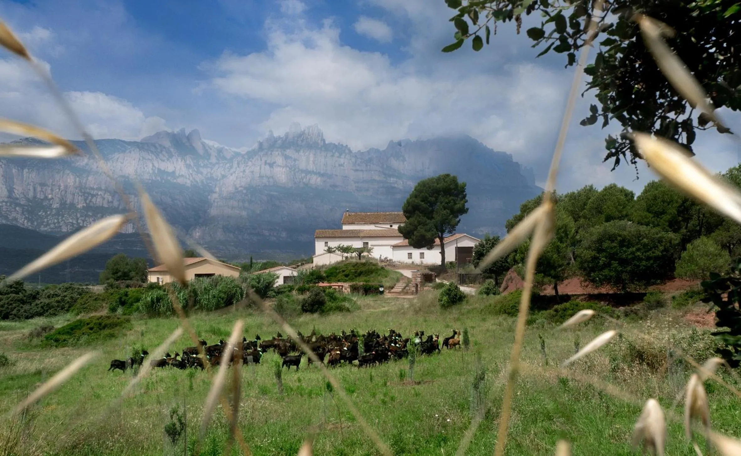 Property building in La Frasera Alojamiento Rural