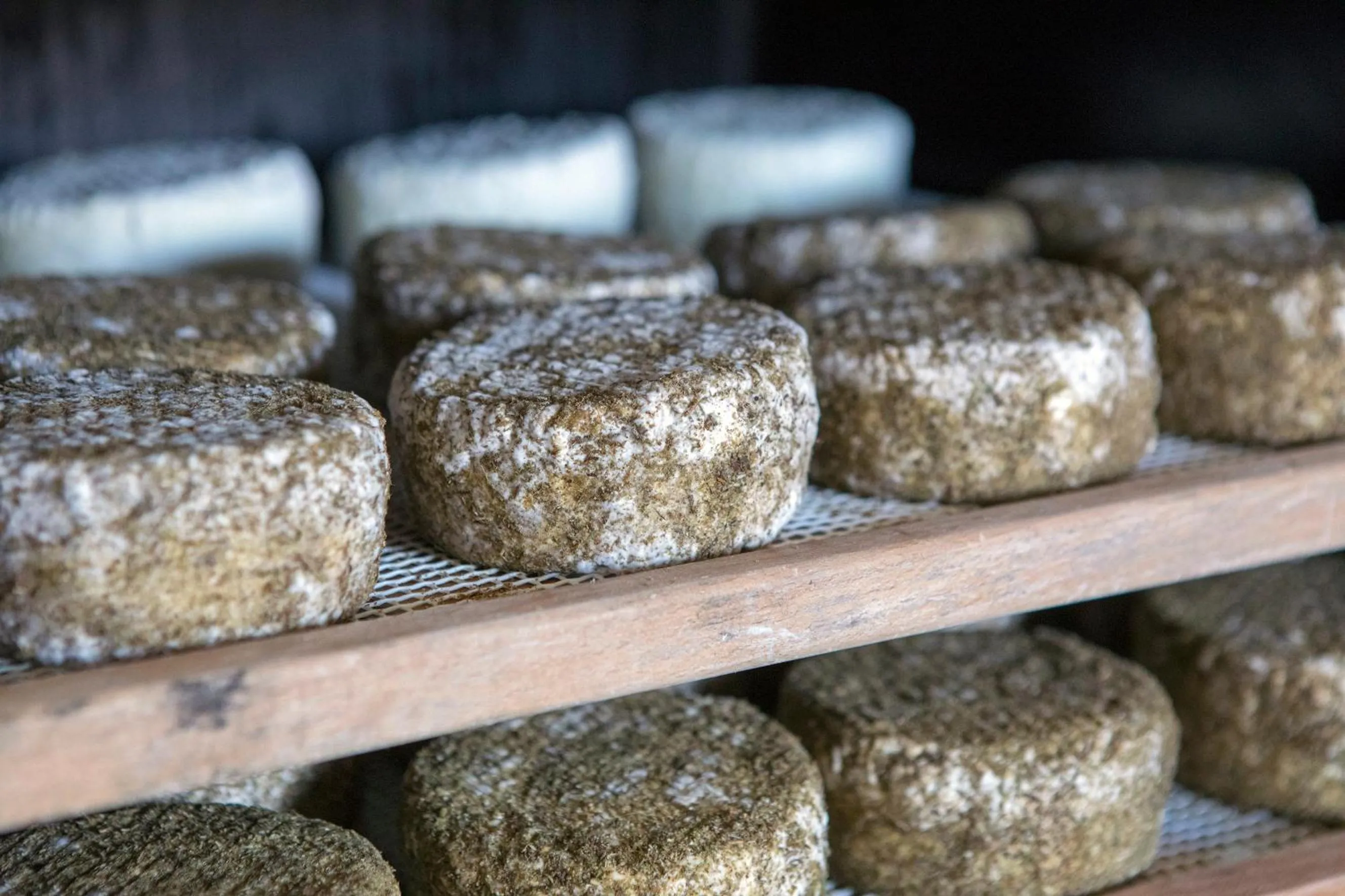 Food in La Frasera Alojamiento Rural