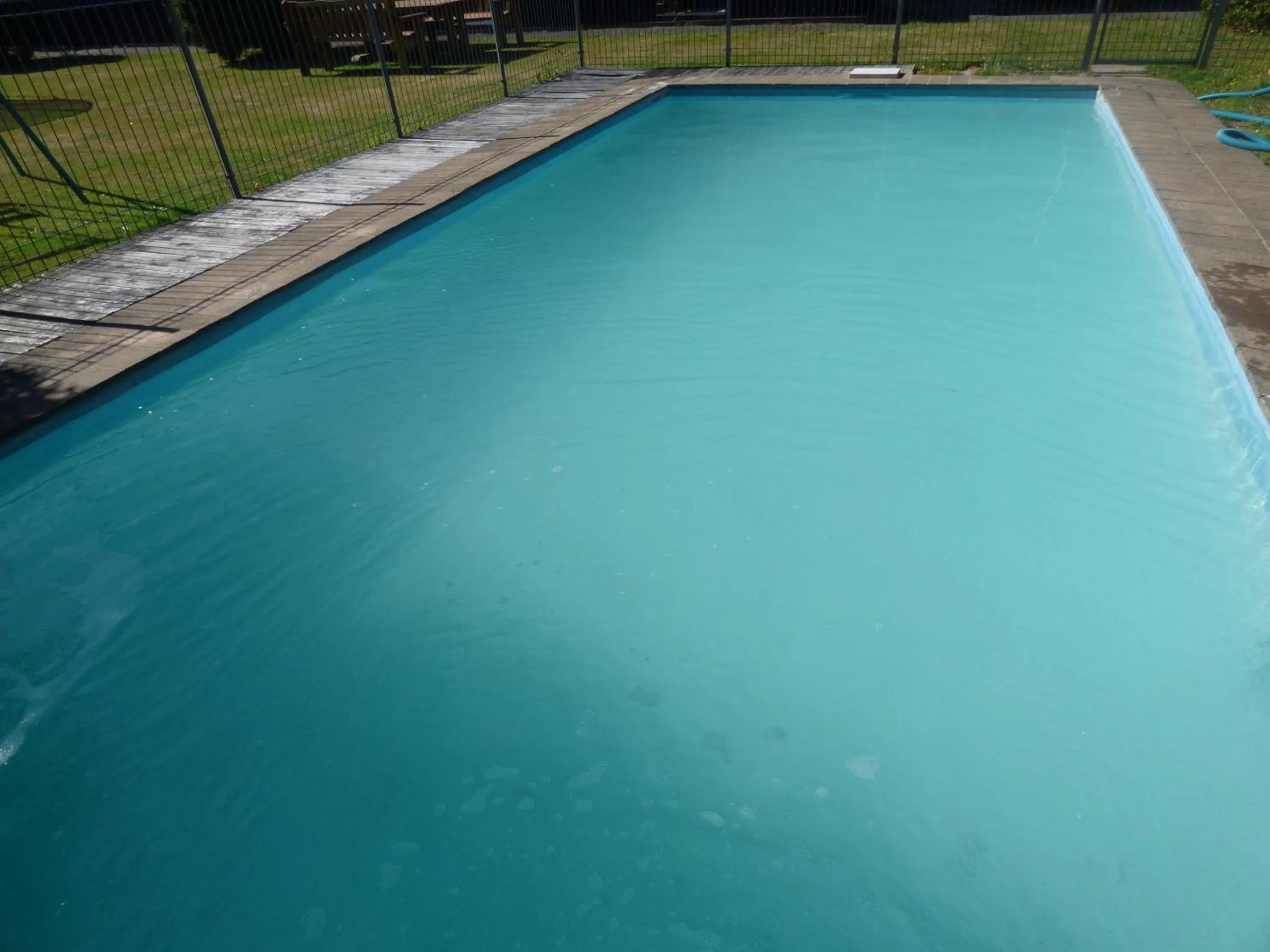 Swimming pool in Ambassador Motel