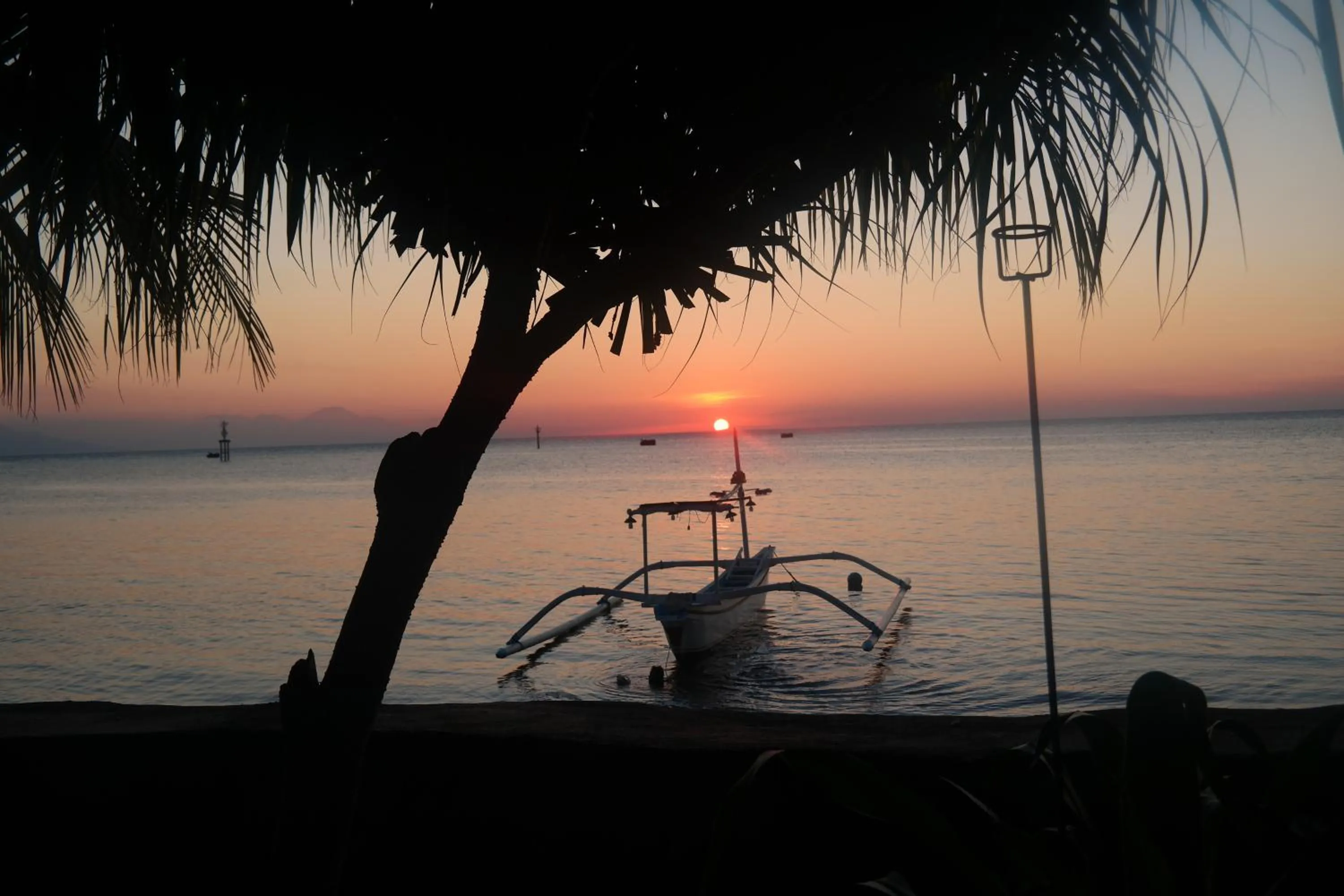 Natural landscape in 1000 Dream Bungalow