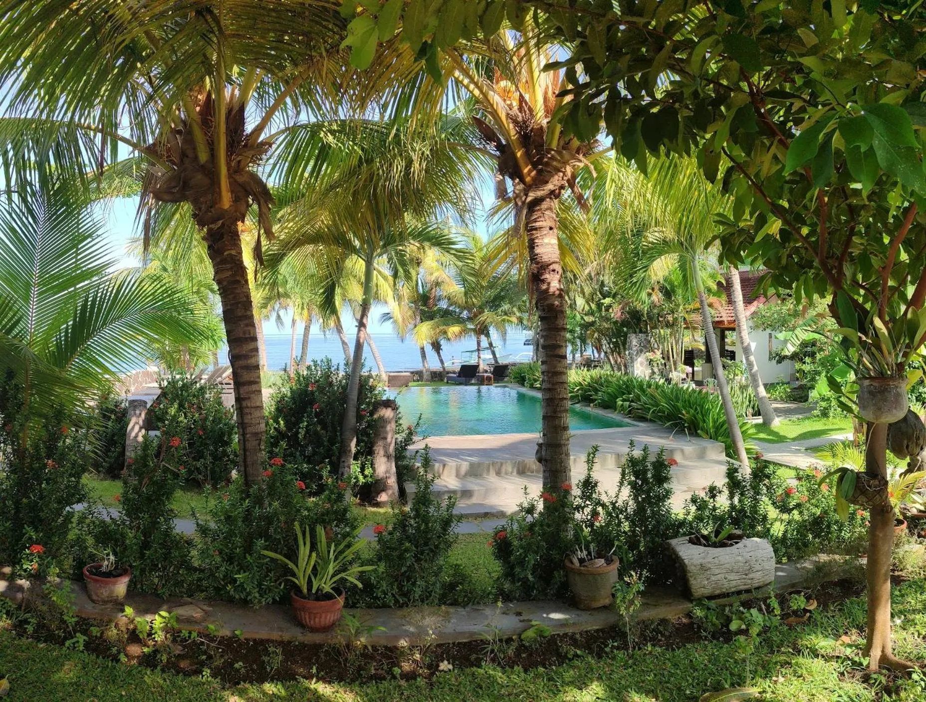 Garden in 1000 Dream Bungalow