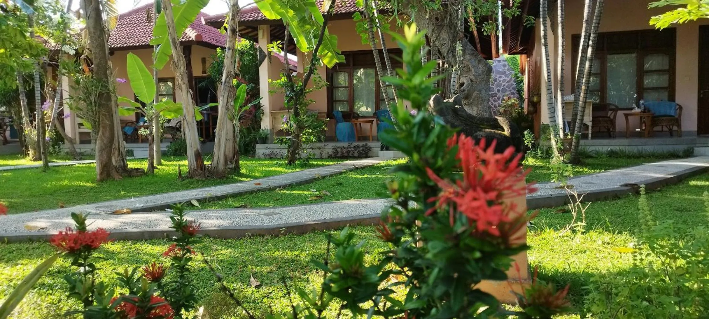 Natural landscape in 1000 Dream Bungalow