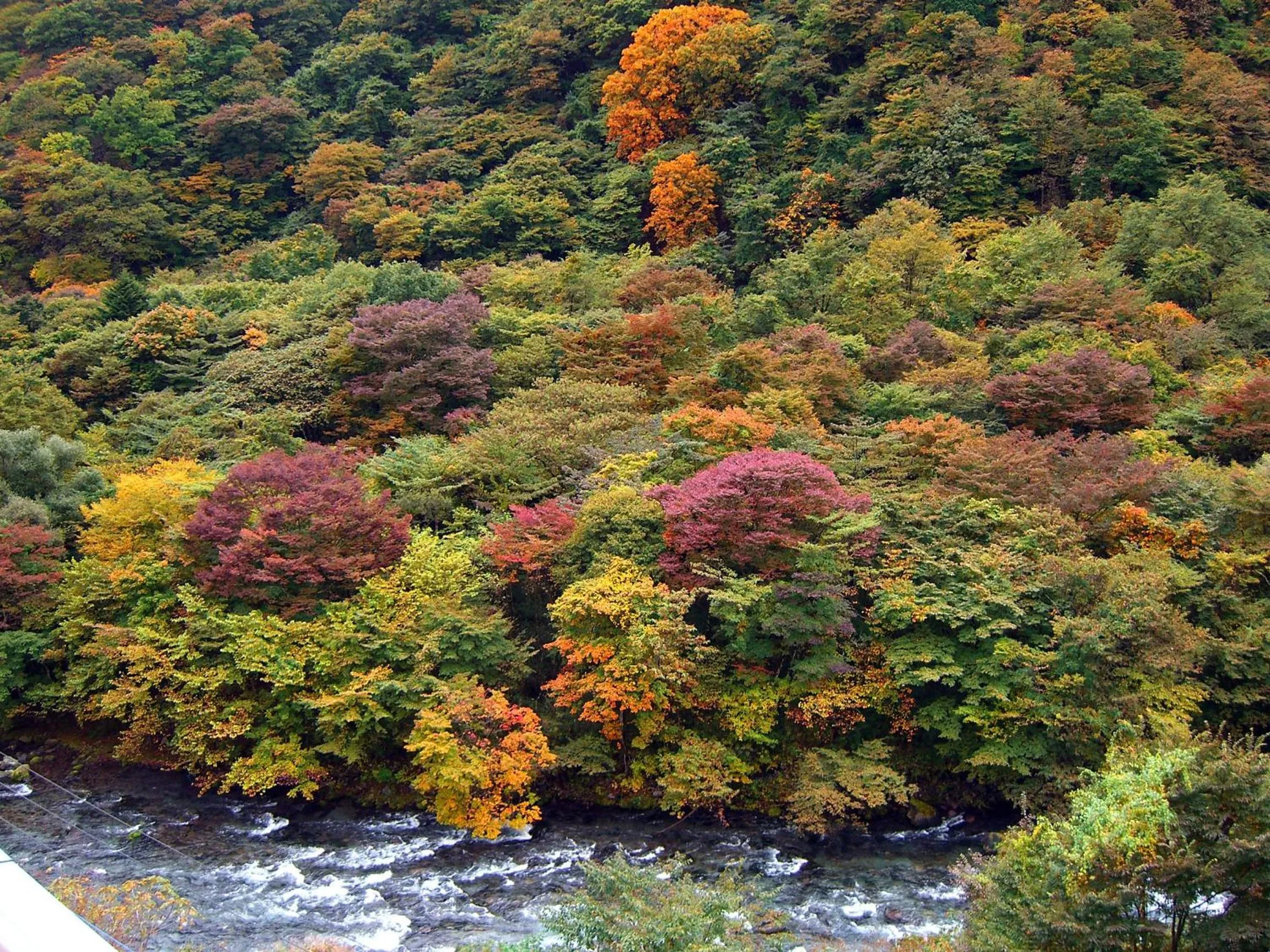 Natural landscape in Nikko Senhime Monogatari