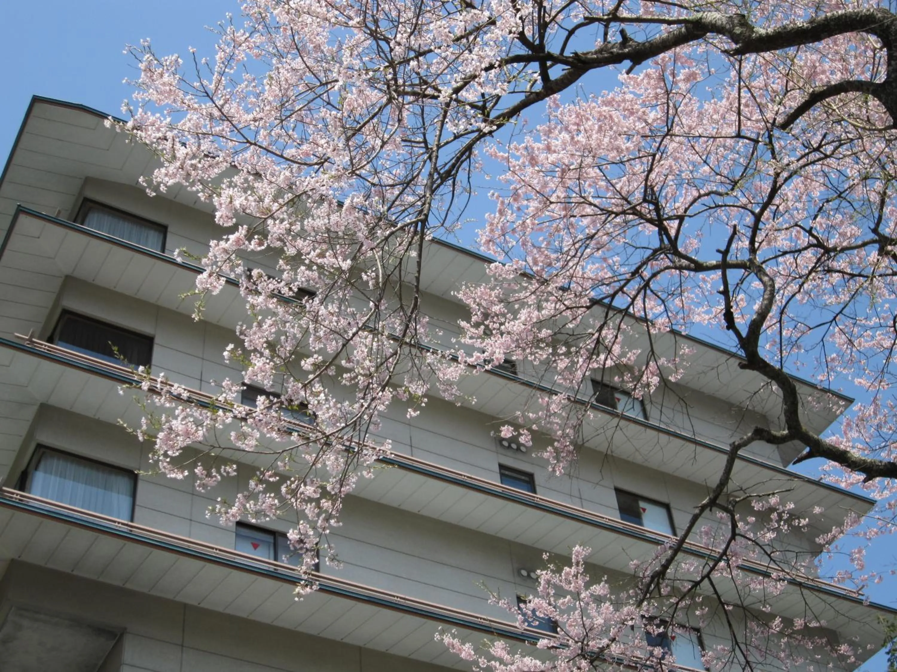Property building in Nikko Senhime Monogatari