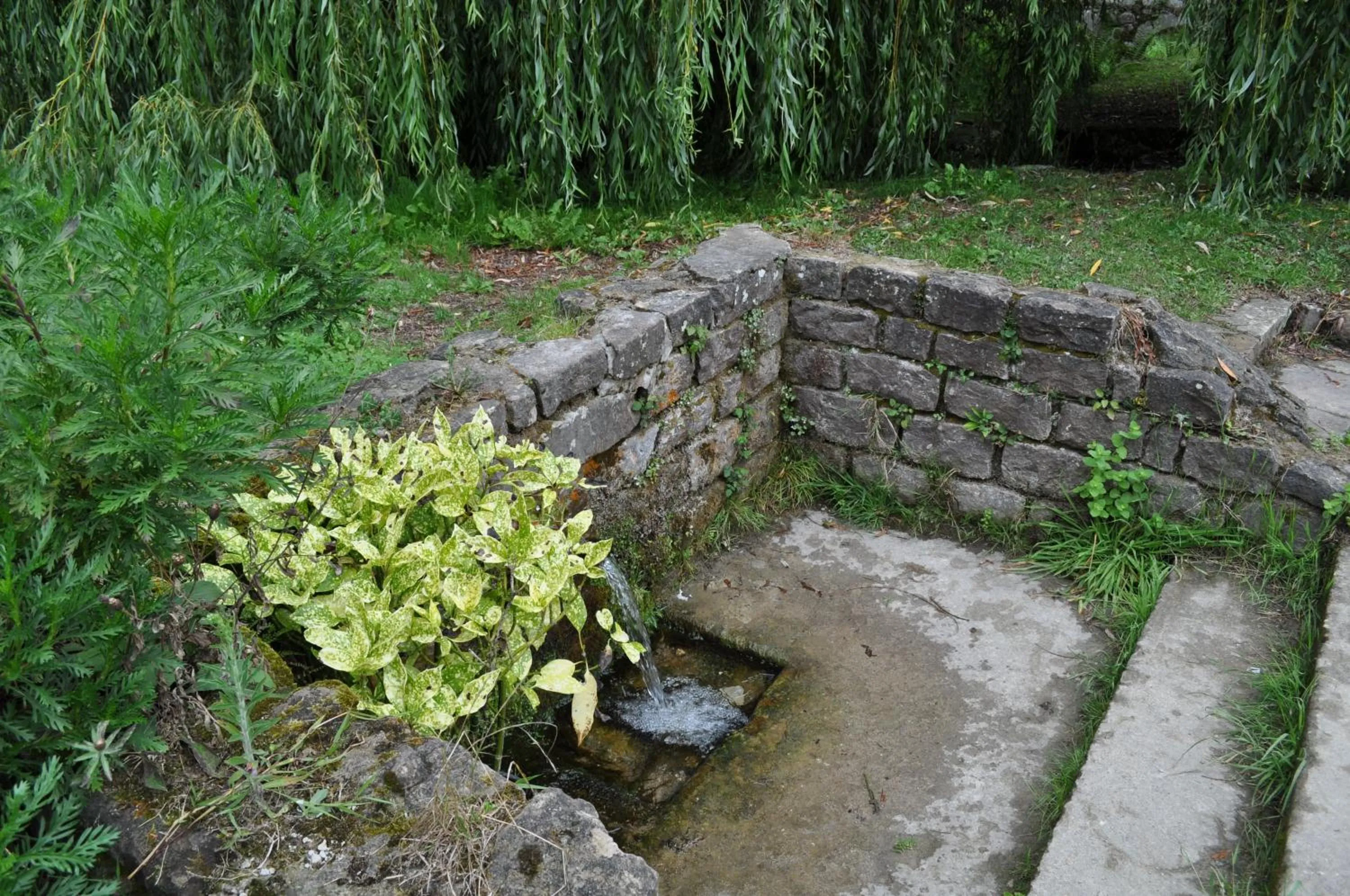 Street view in El Bosque de La Anjana