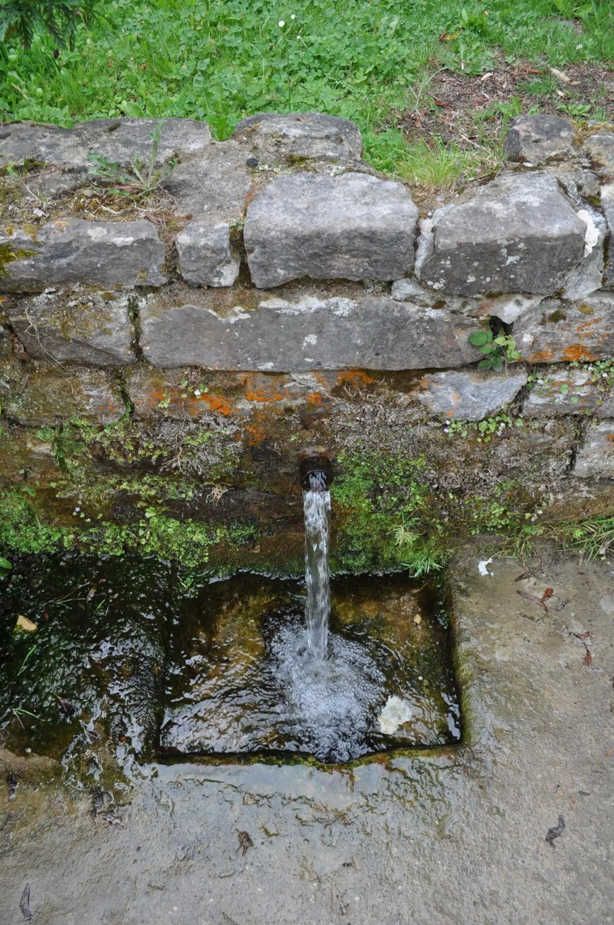 Street view in El Bosque de La Anjana