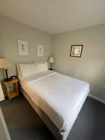 Bed in Elmwood Motor Court