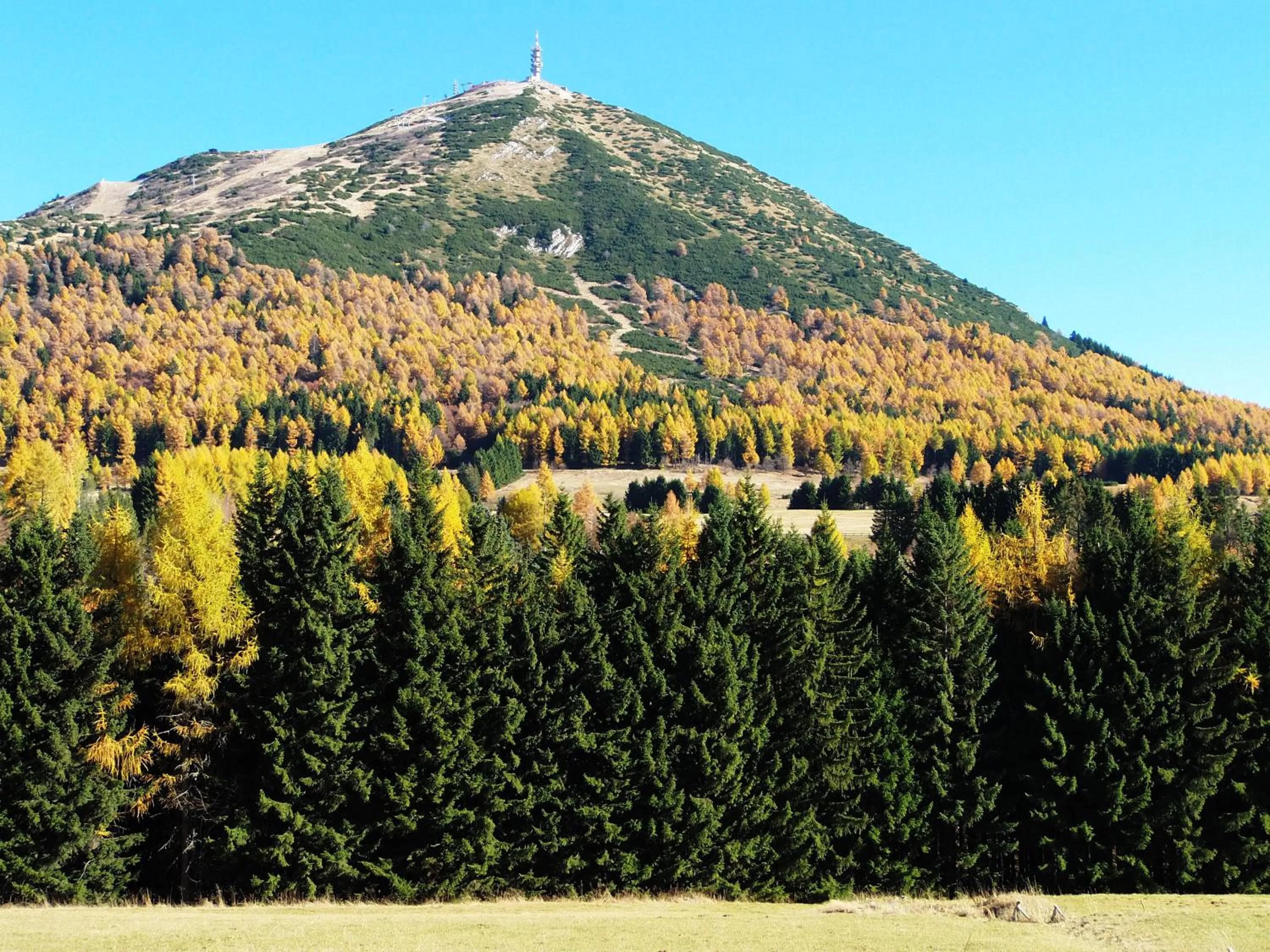 Natural landscape in Hotel Vezzano