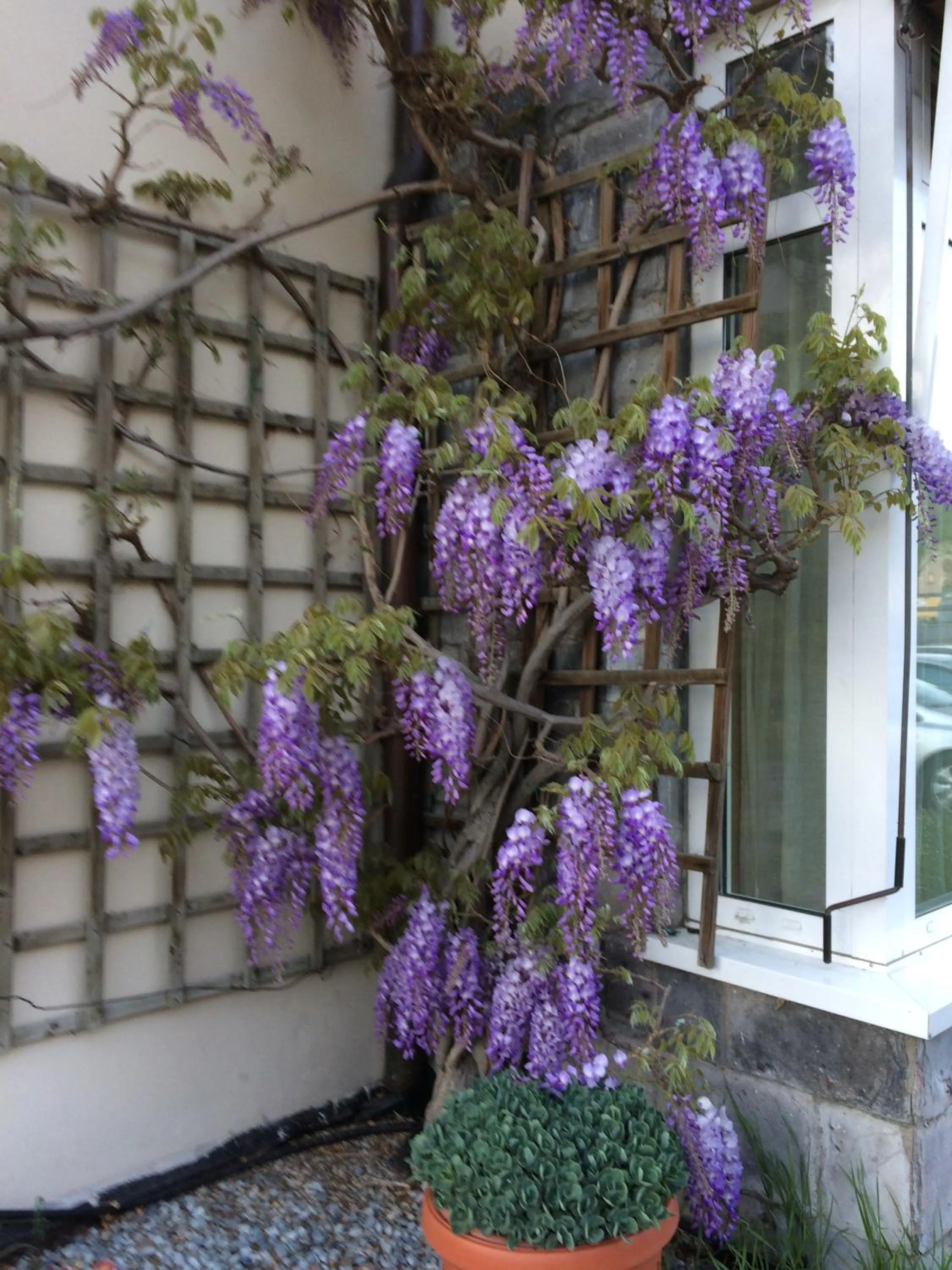 Property building in Hotel Vezzano