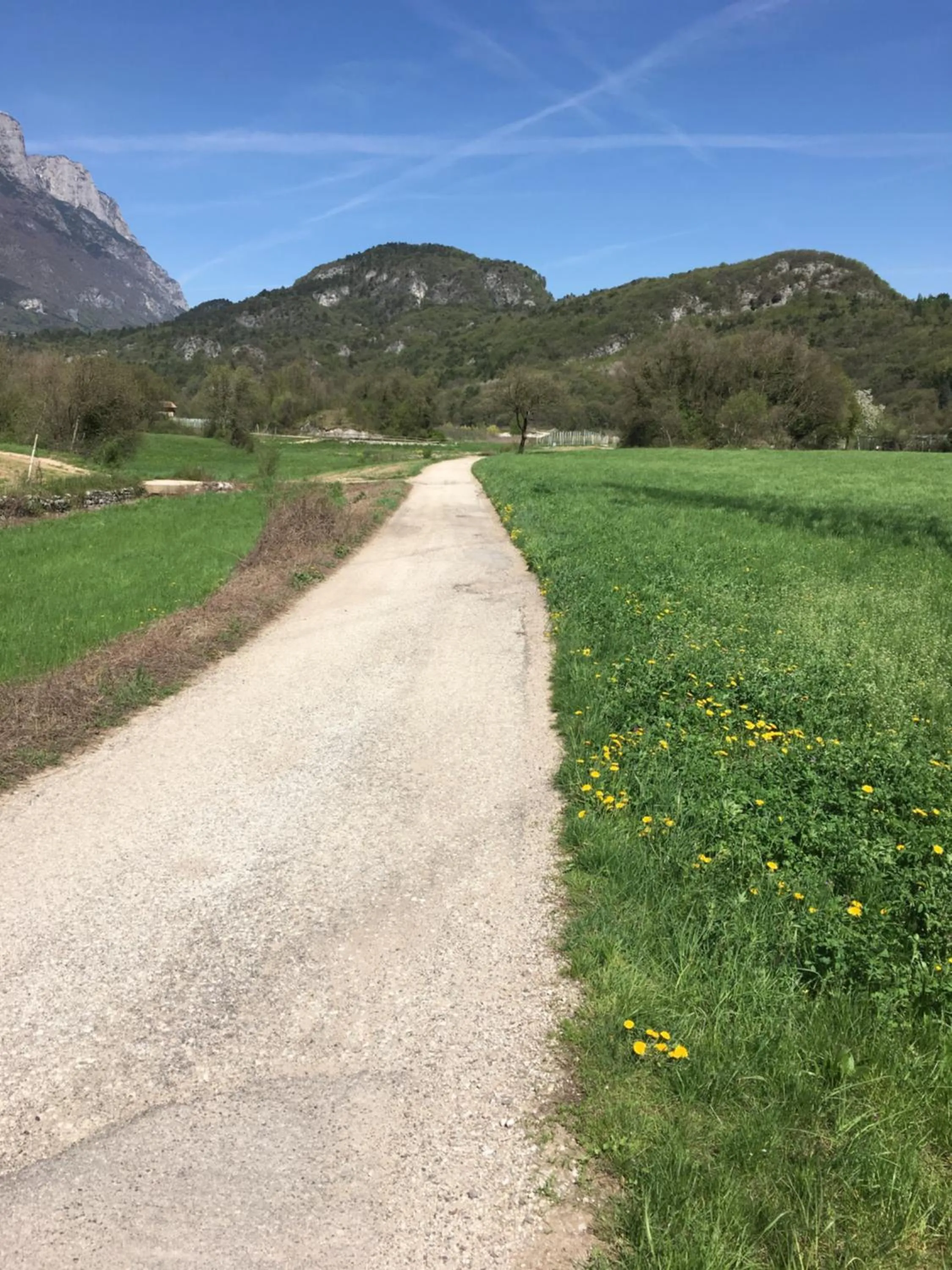 Natural landscape in Hotel Vezzano