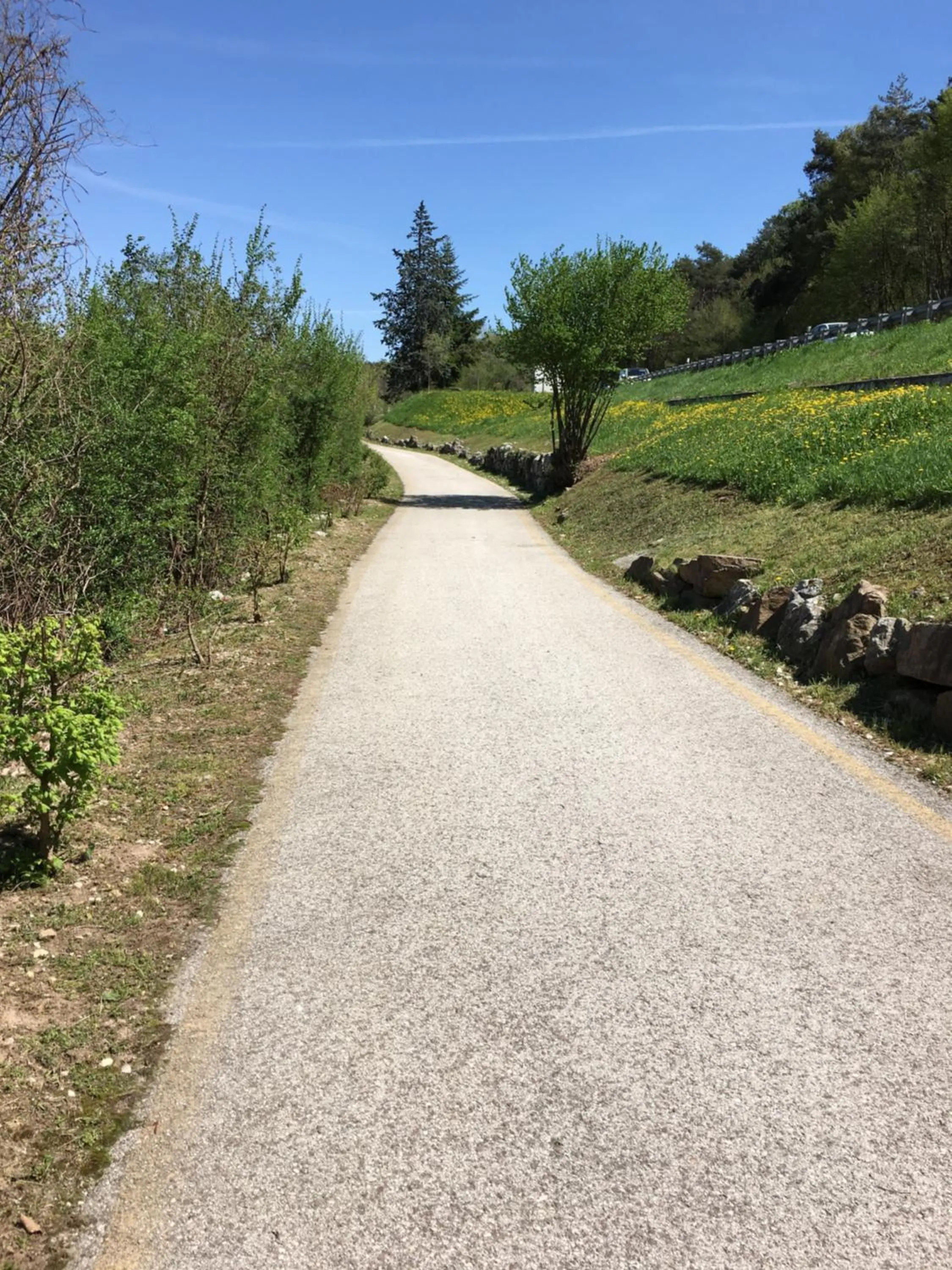 Hiking in Hotel Vezzano