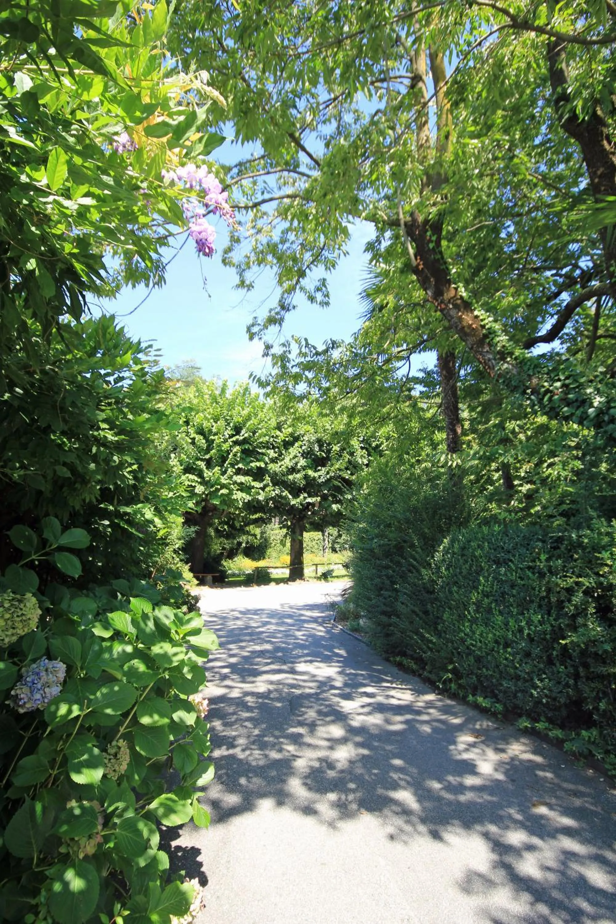 Garden in Lugano Savosa Youth Hostel