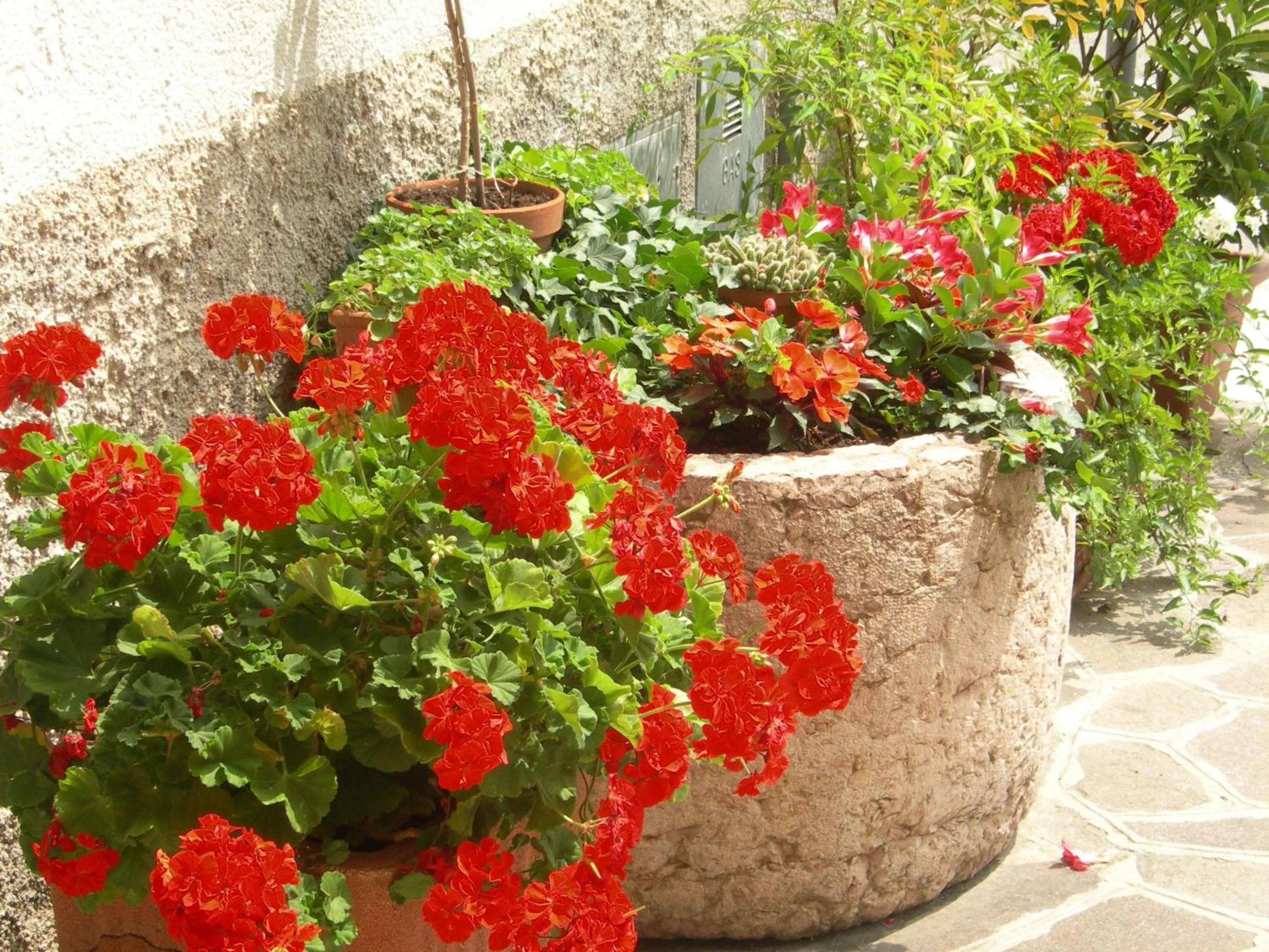 Day in Albergo Centrale