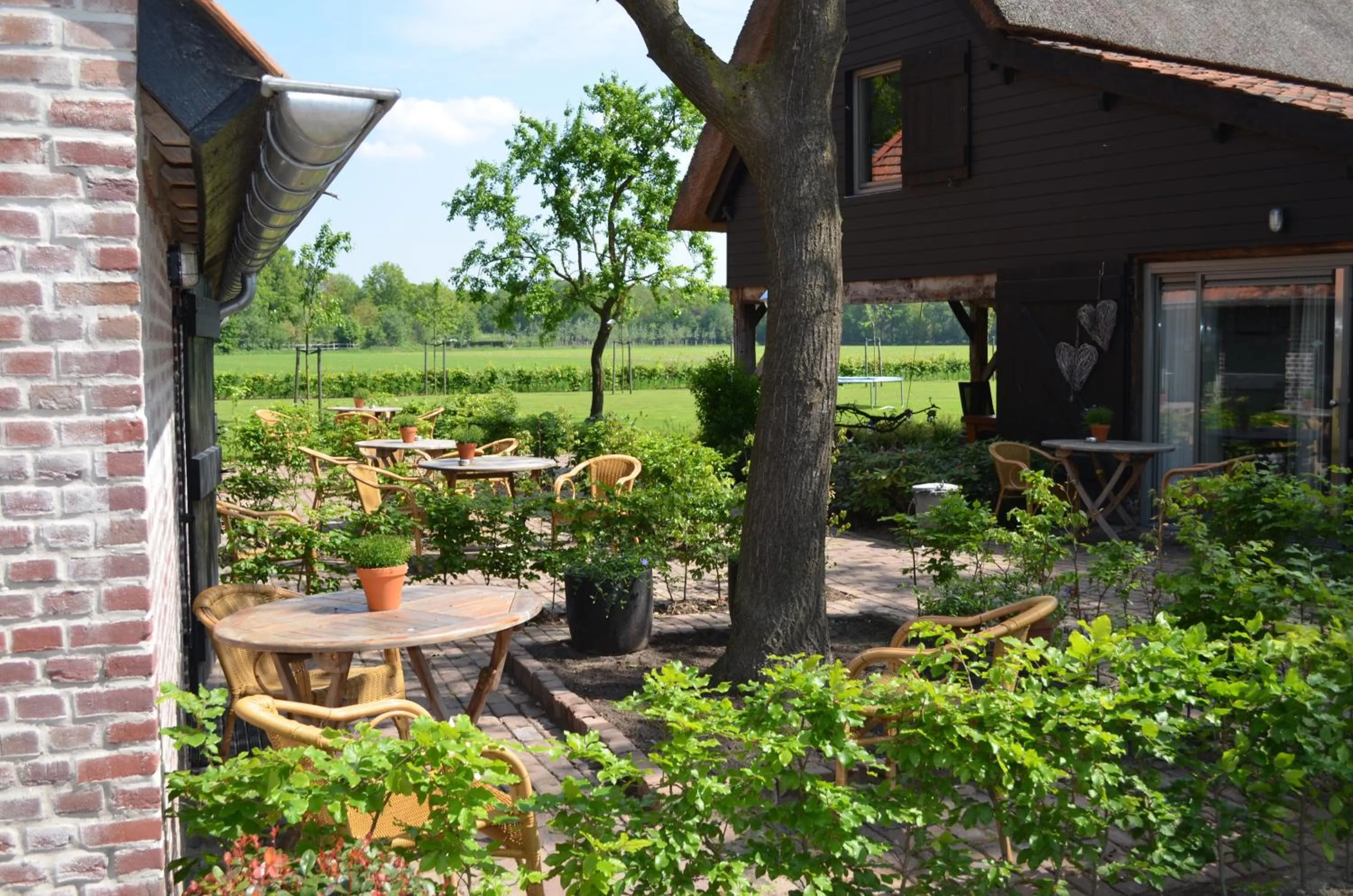 Patio in Erfgoed & Logies Den Heijkant