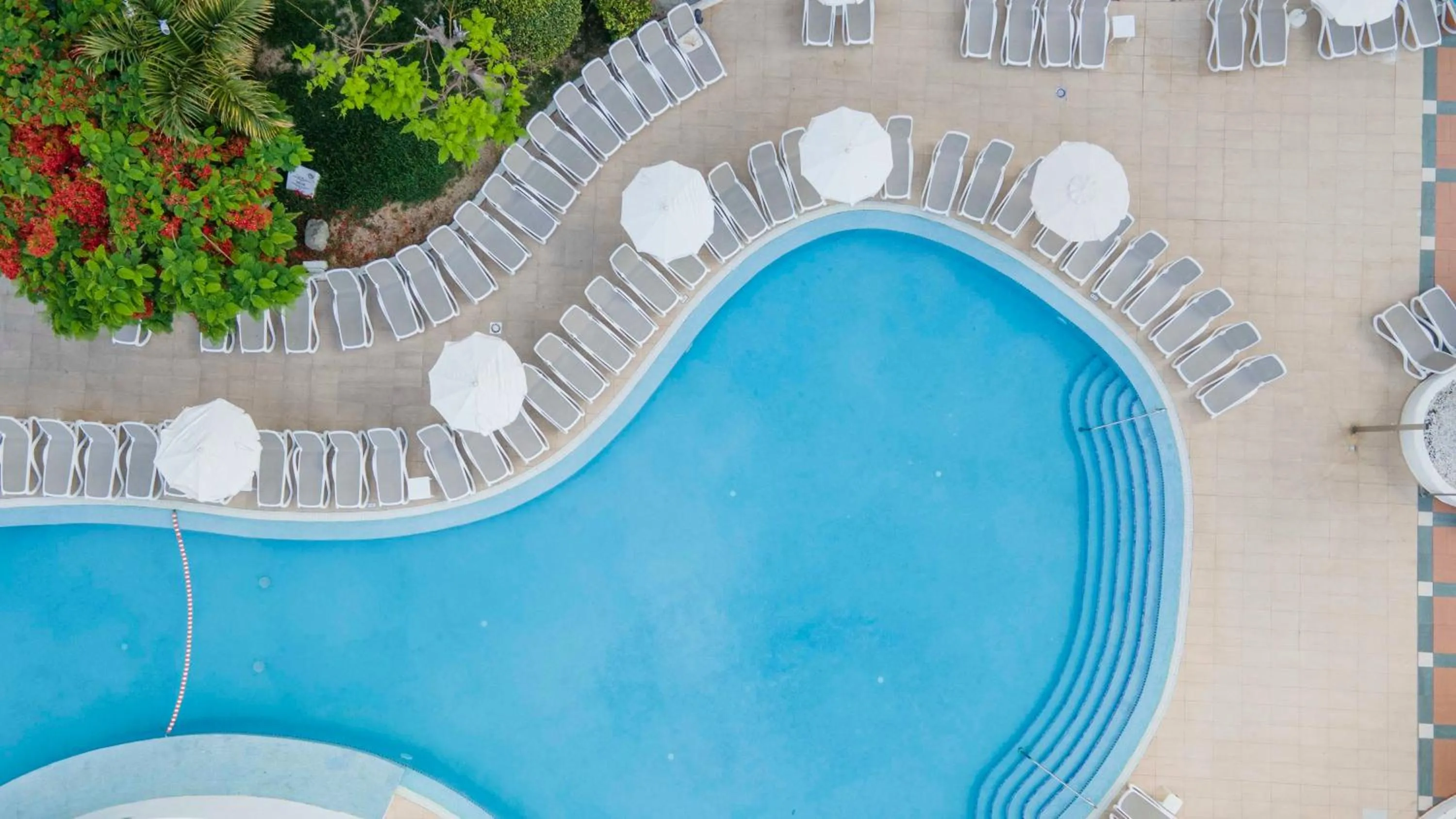 Swimming pool in Ona Palm Beach