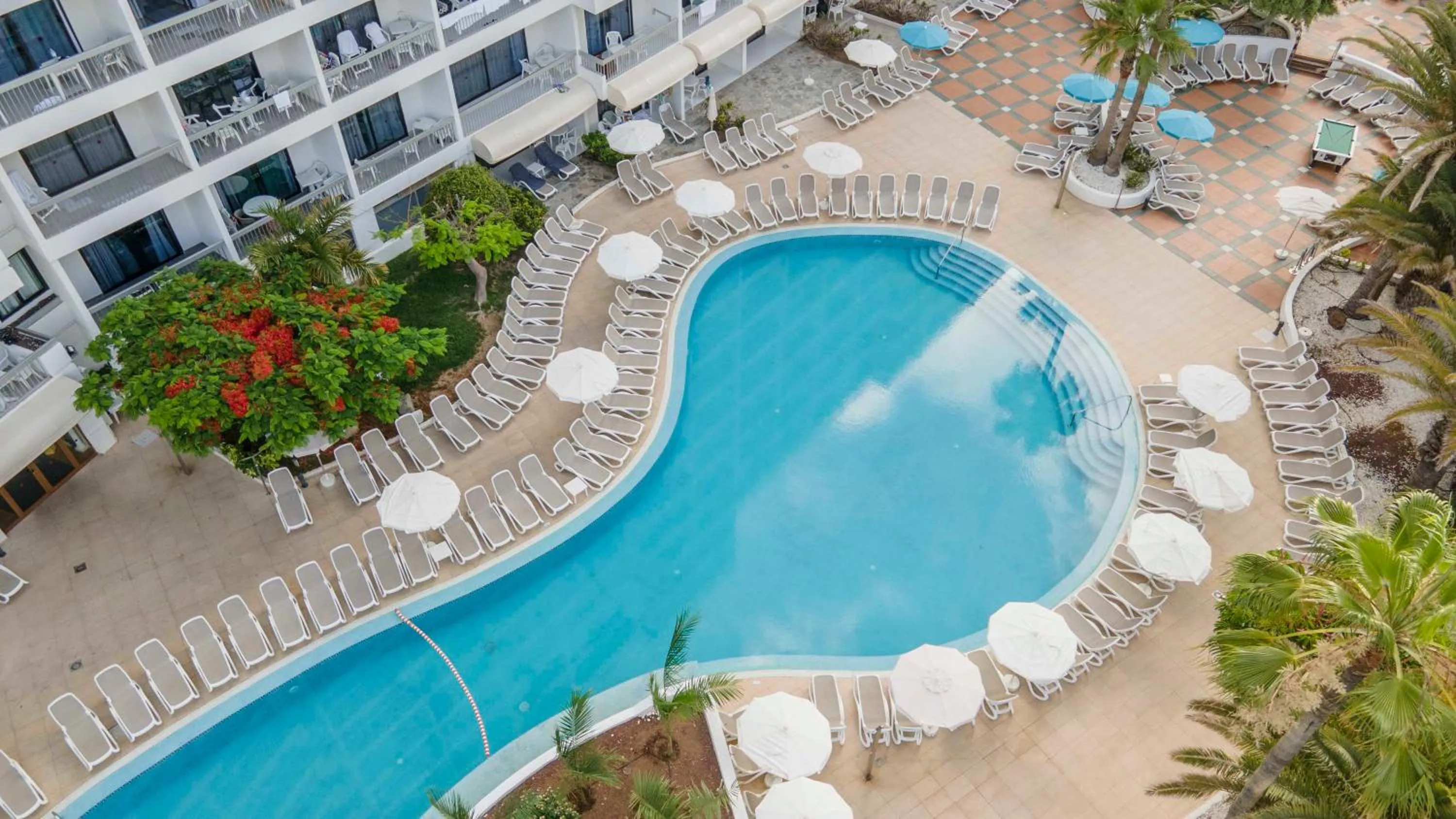 Swimming pool in Ona Palm Beach