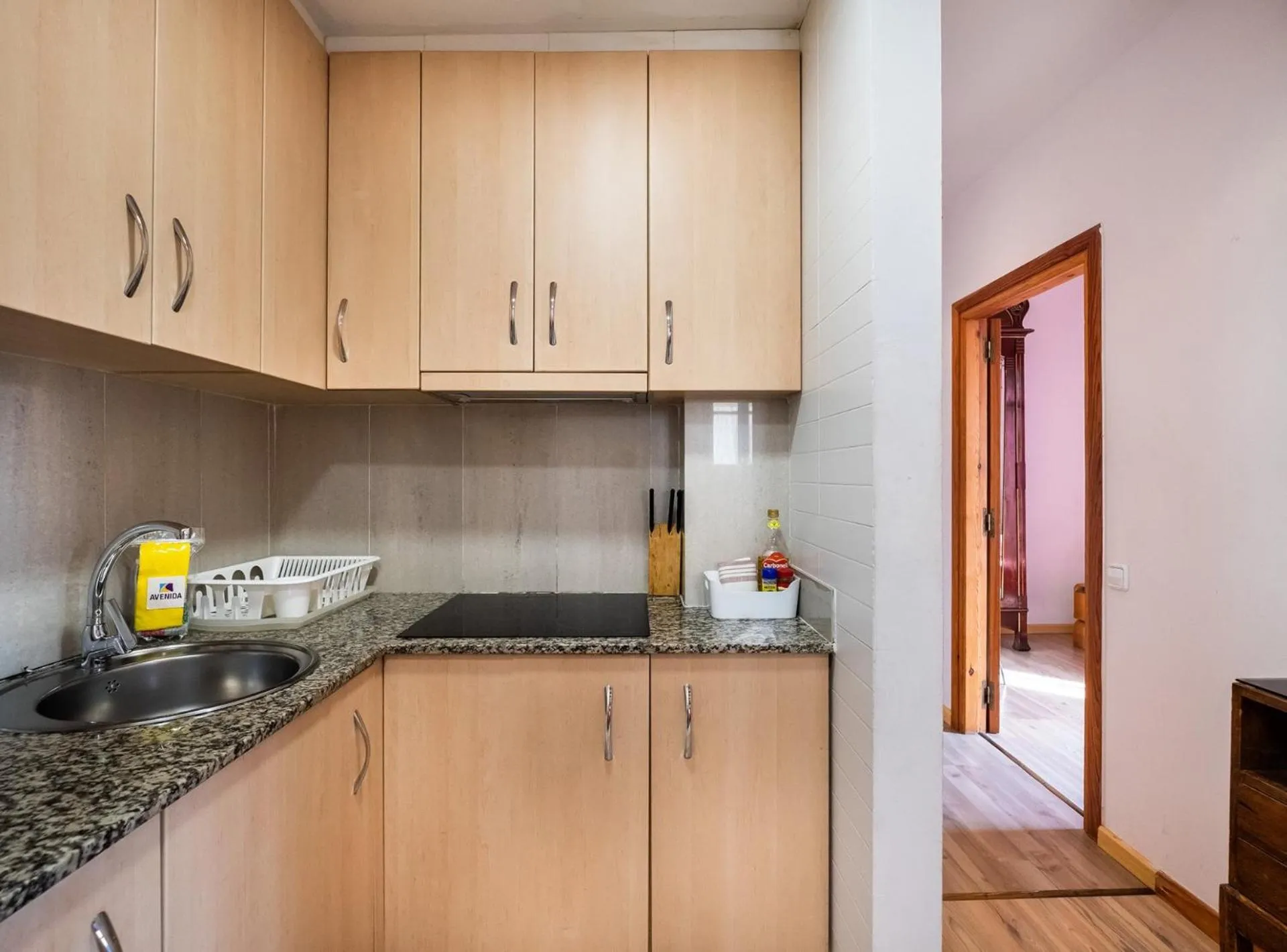 Apartamentos El Pintor