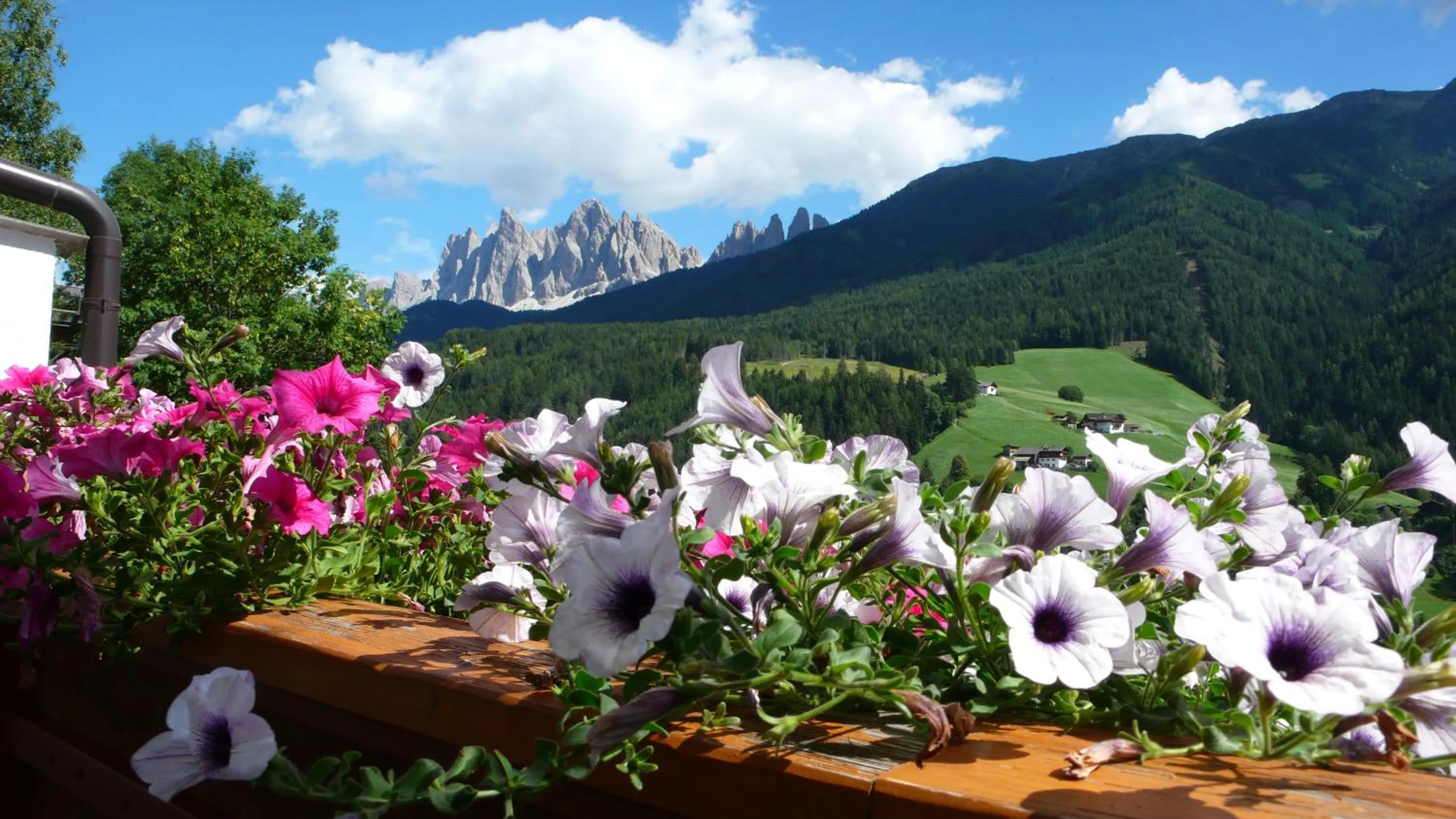 Balcony/Terrace in Residence Töglhof