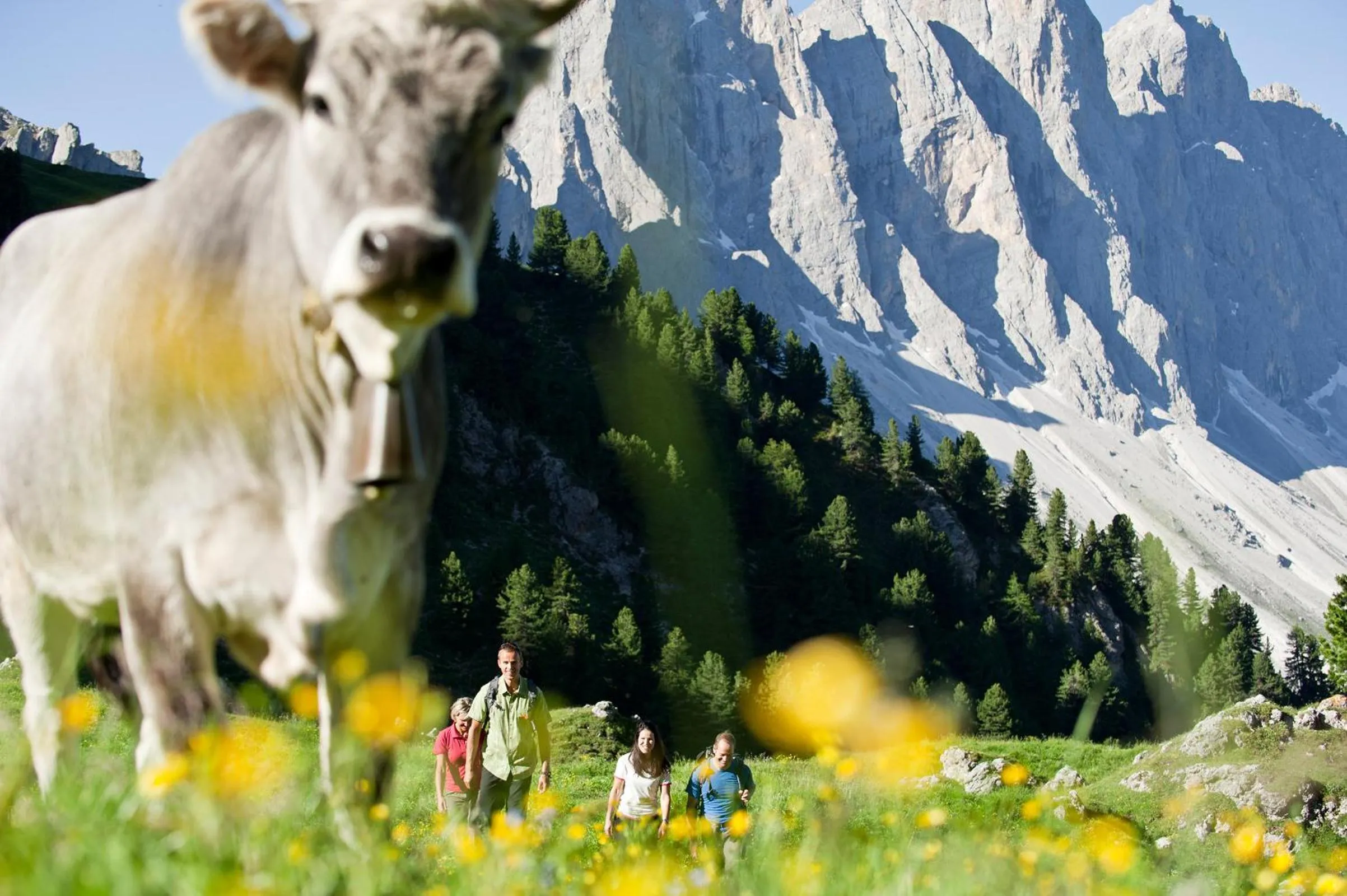 Animals in Residence Töglhof