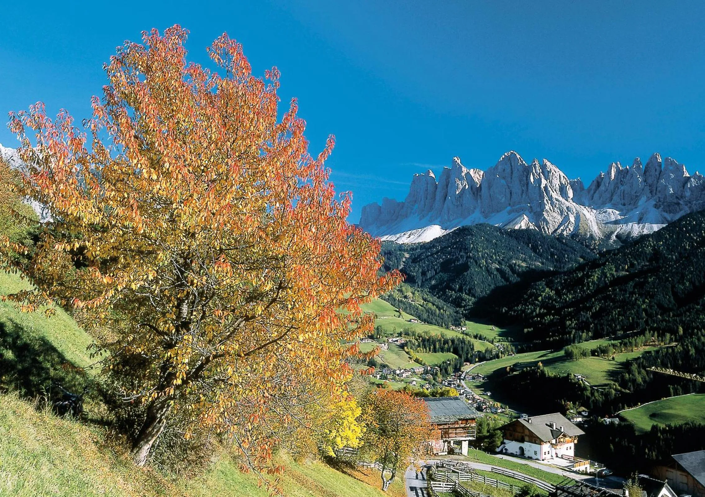 Area and facilities in Residence Töglhof