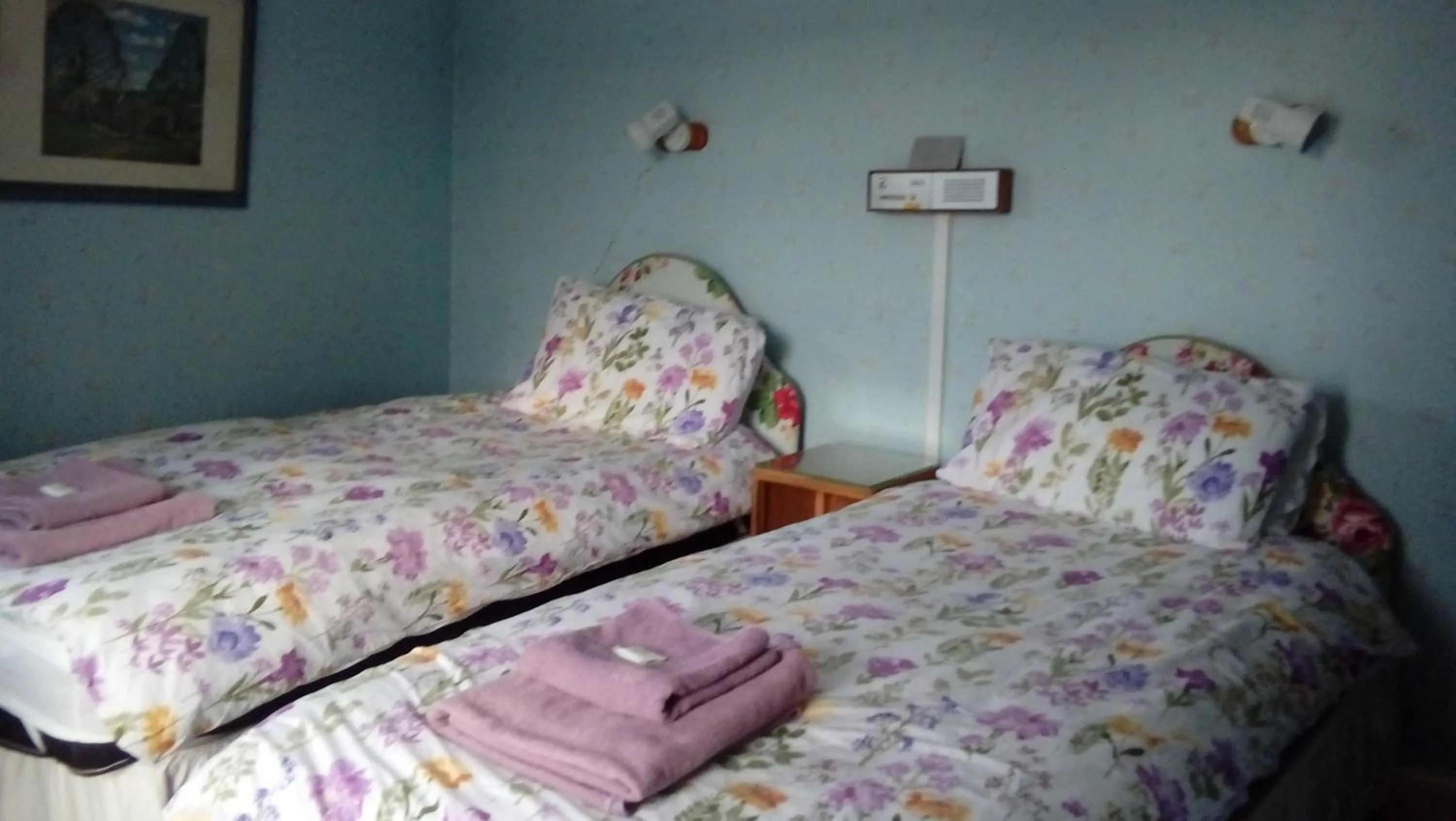 Bed in Neuadd Arms Hotel