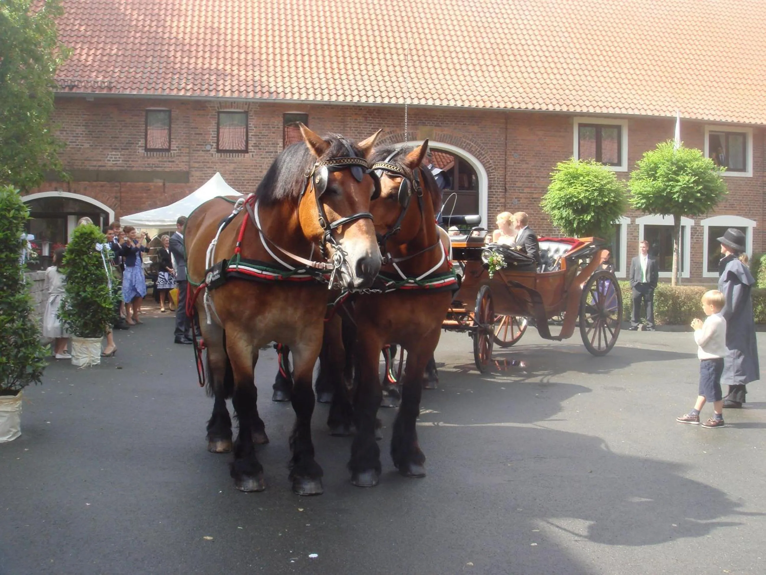 Other in Landhotel Meier Gresshoff