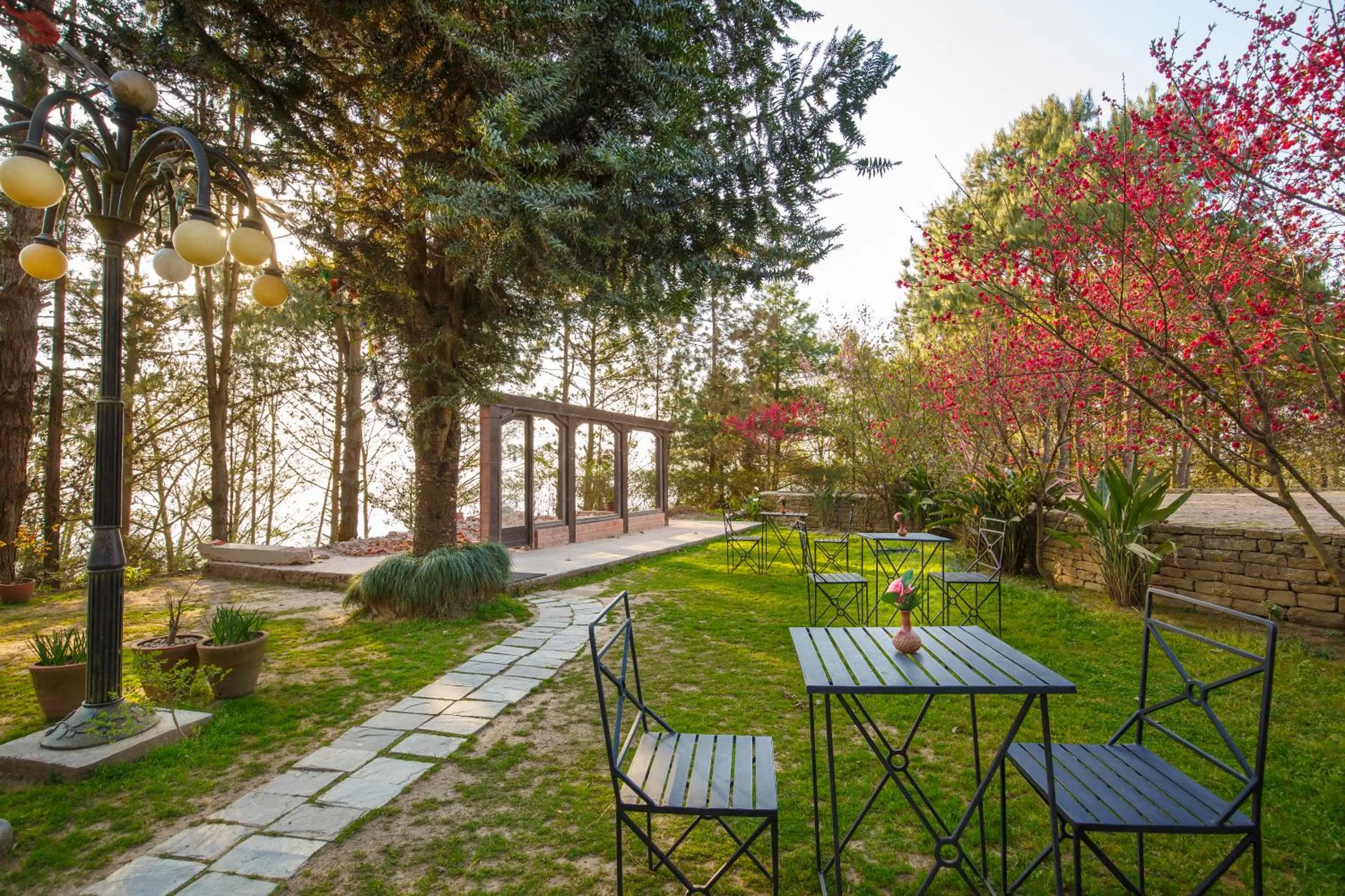 Garden in Club Himalaya, by ACE Hotels