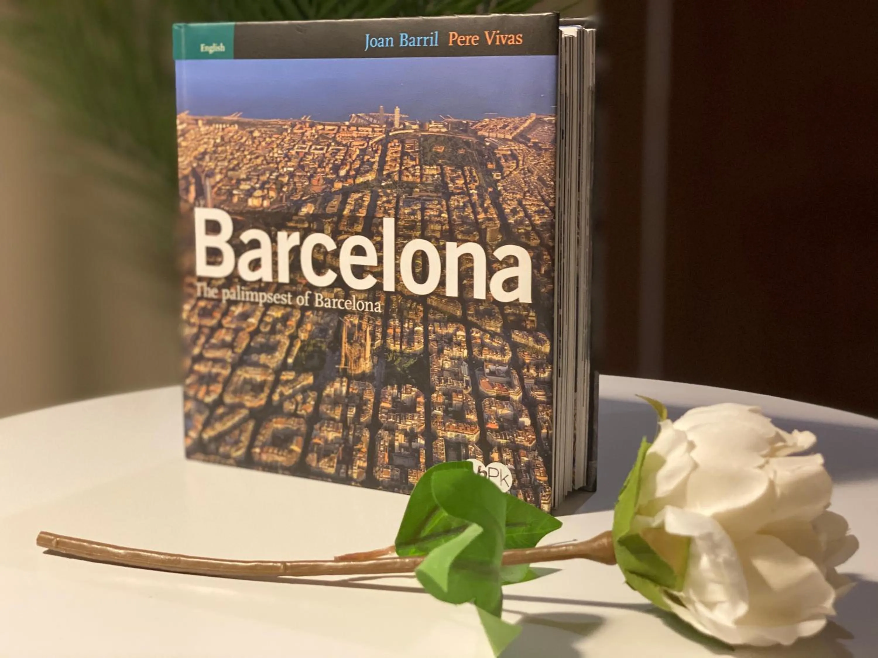 Area and facilities in Hostal Orleans