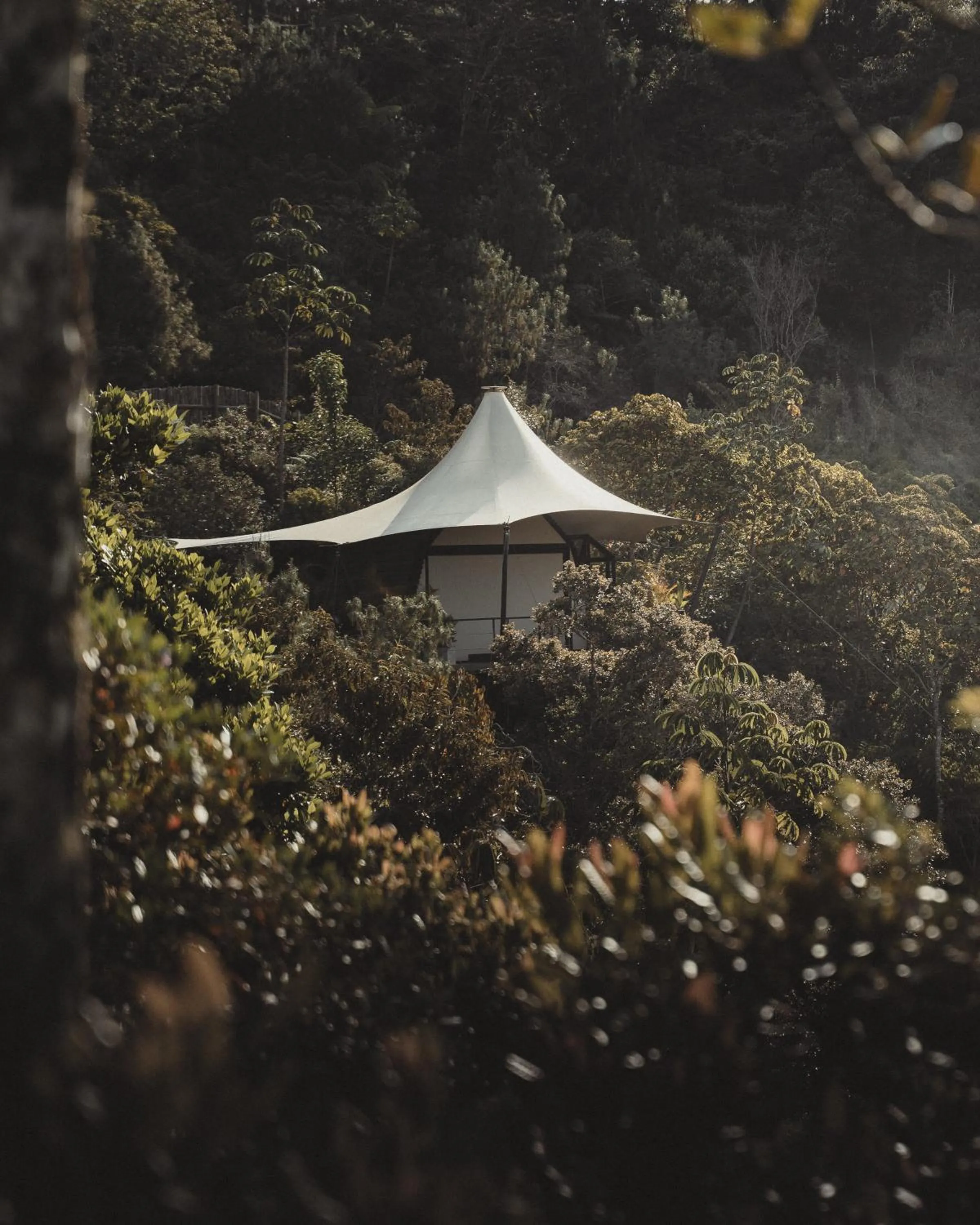 Natural landscape in Bosko