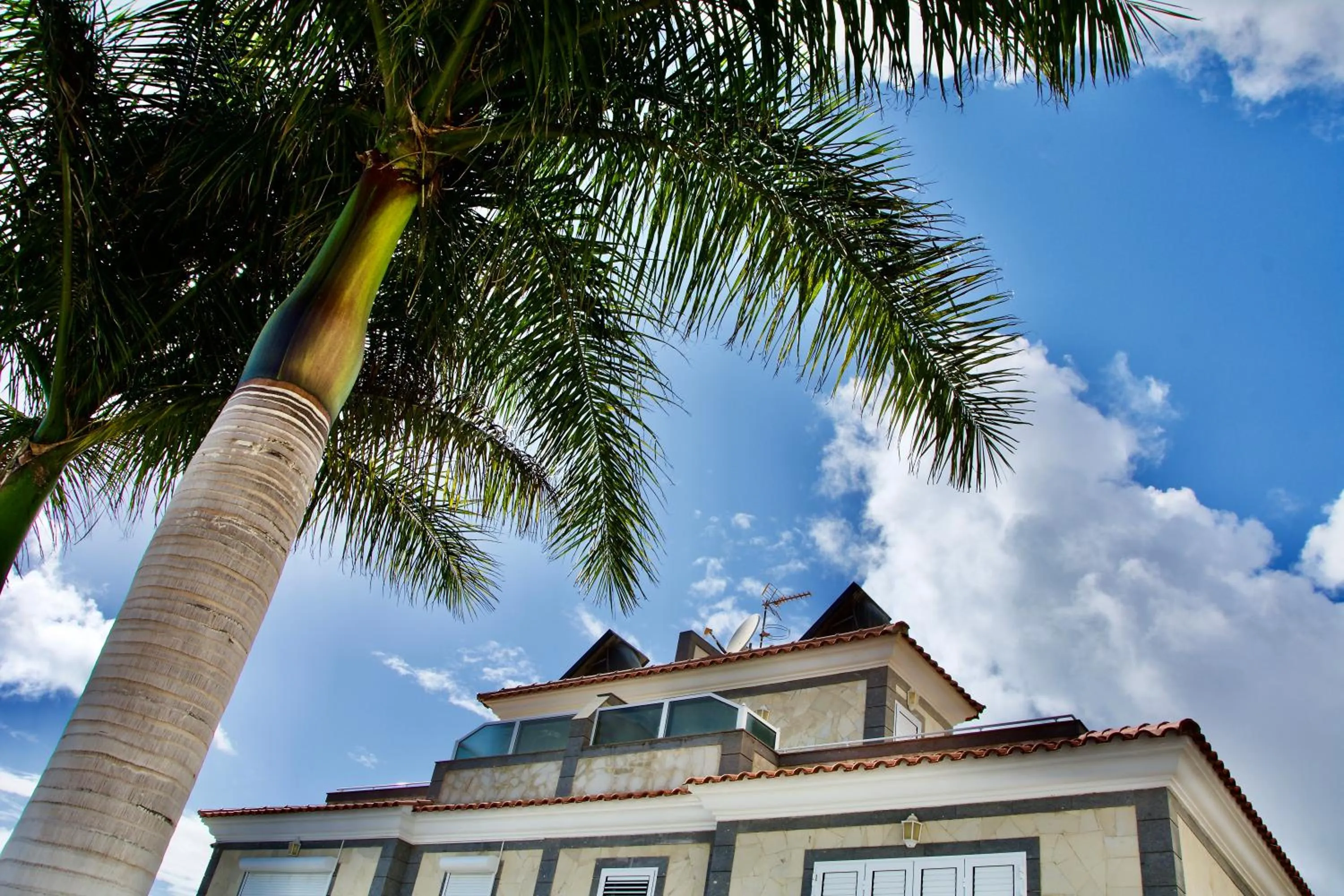 Natural landscape in Villa Lovisi