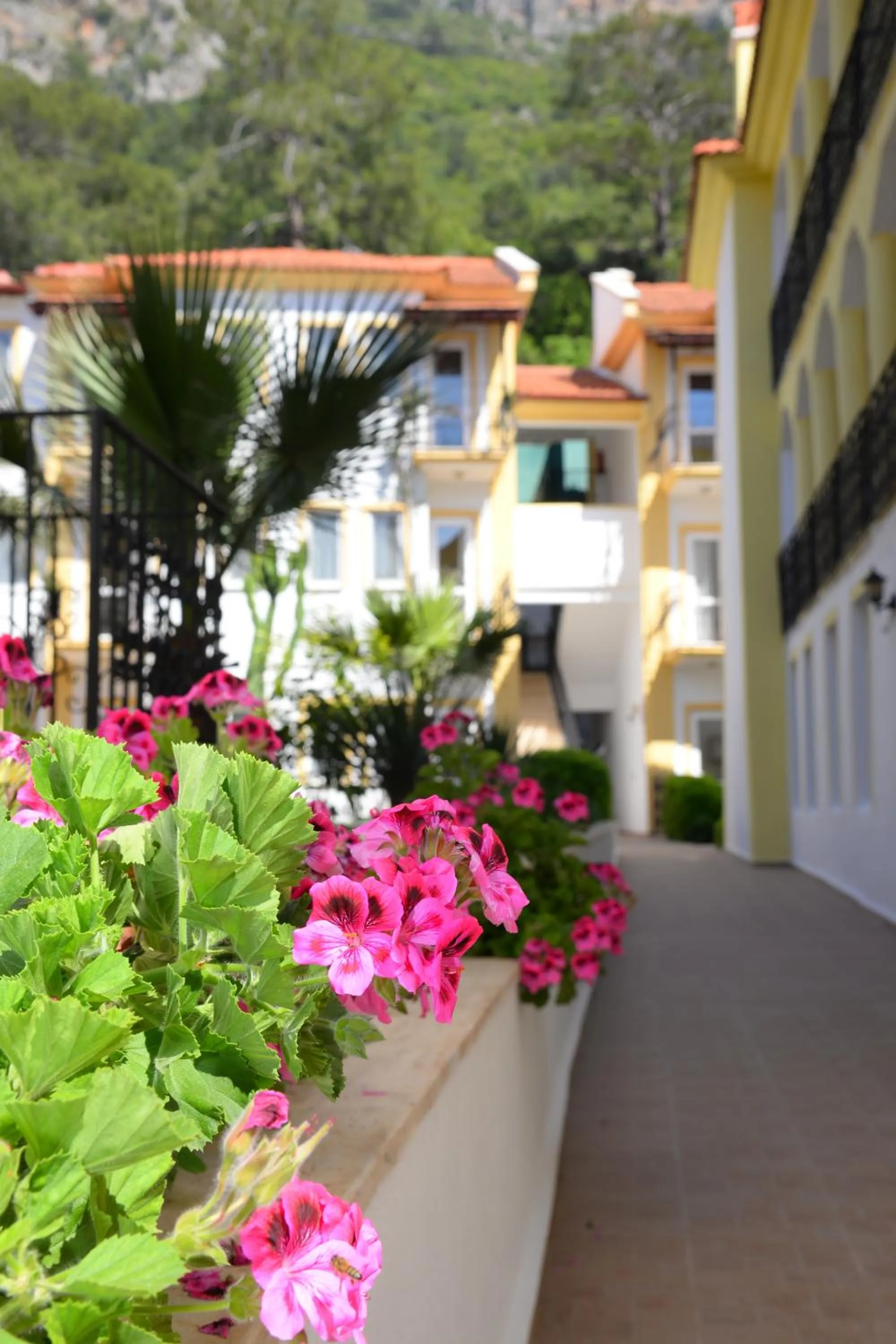Garden in Karbel Hotel