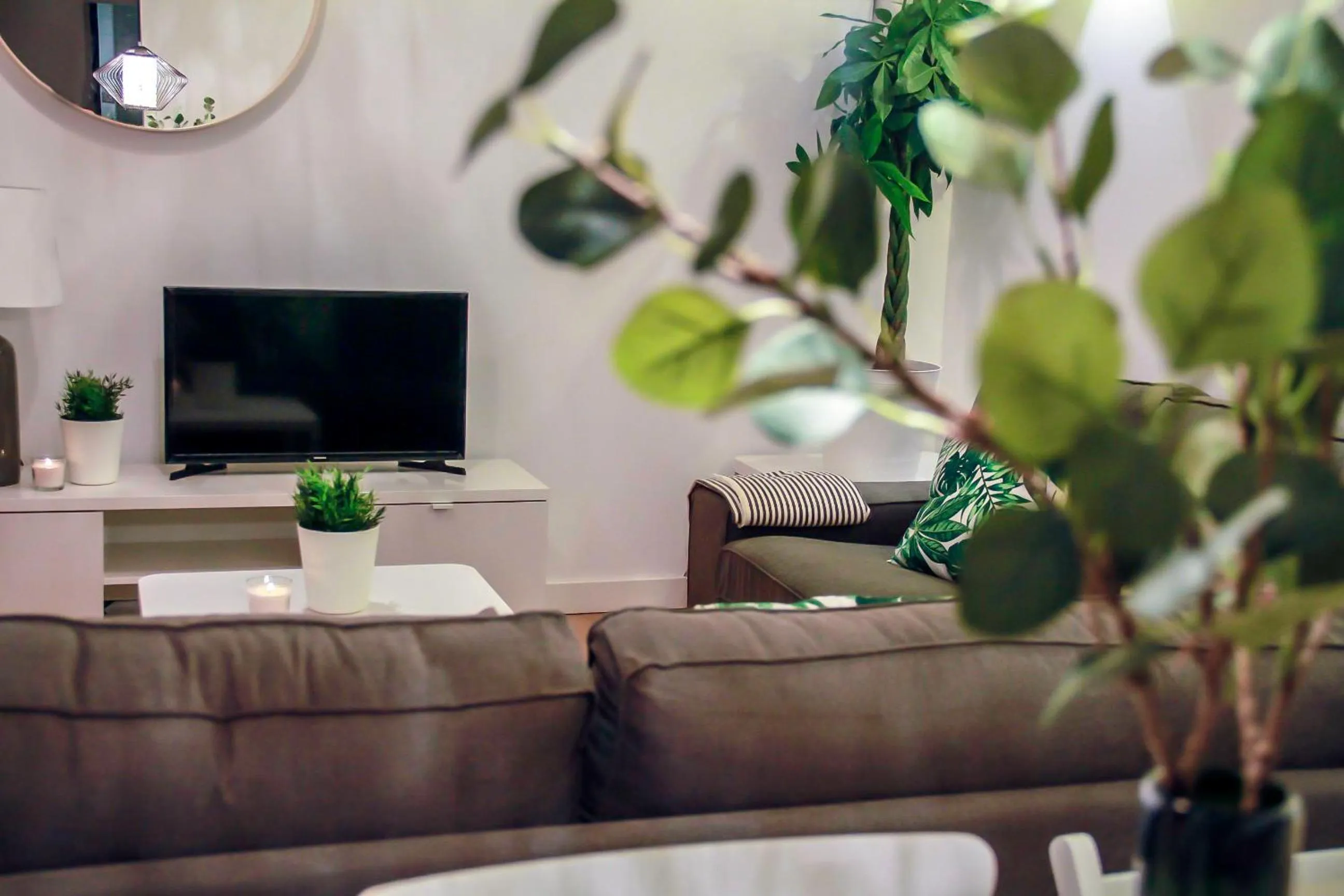 Communal lounge/ TV room in Real Beds Madrid