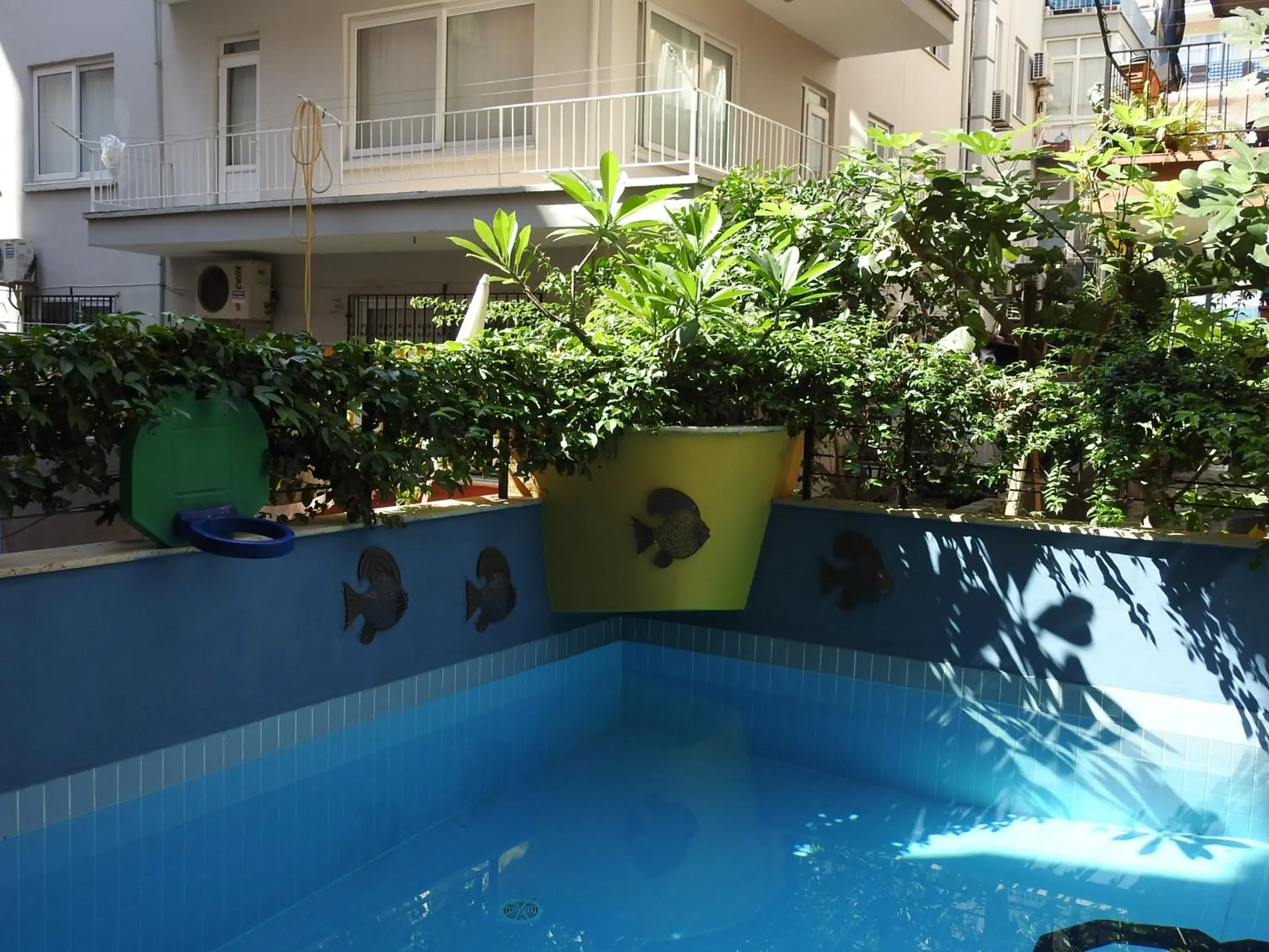 Apartment (2 Adults) - single occupancy in Musti Apart Hotel Apartment (2 Adults) - single occupancy in Musti Apart Hotel