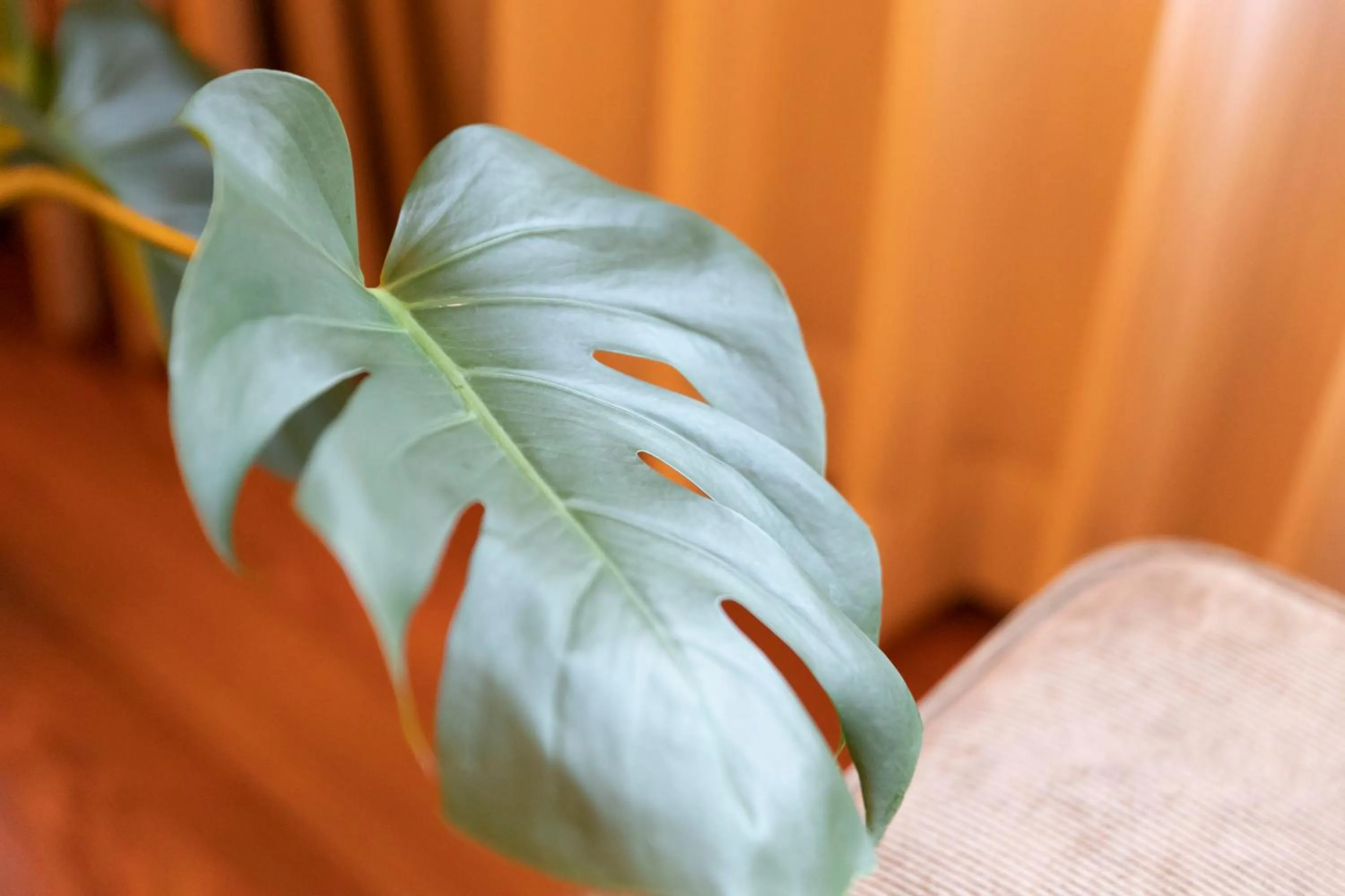 Decorative detail in Hotel Gendairakuen Isehara