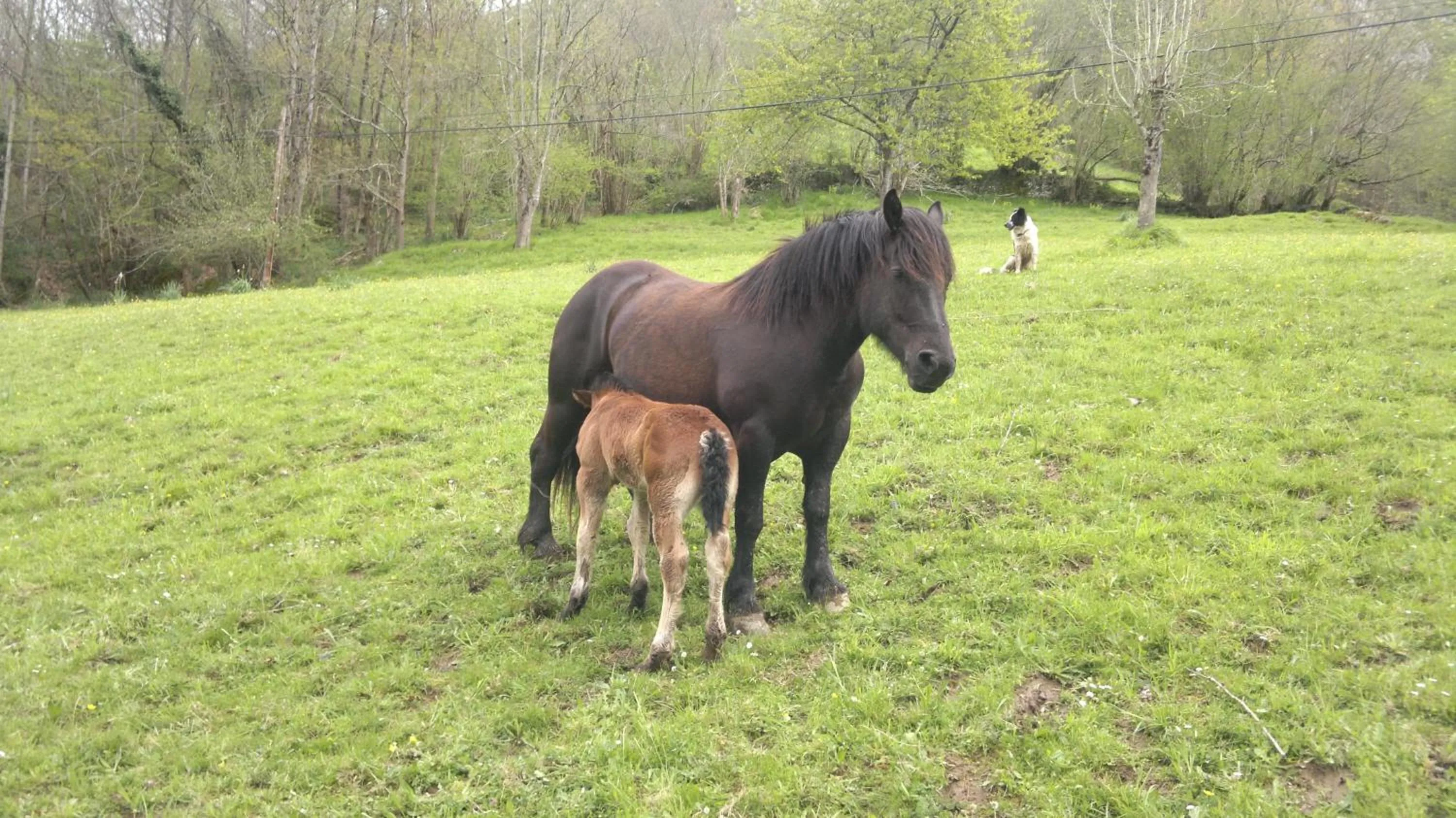 Area and facilities in Hotel Rural Los Texos