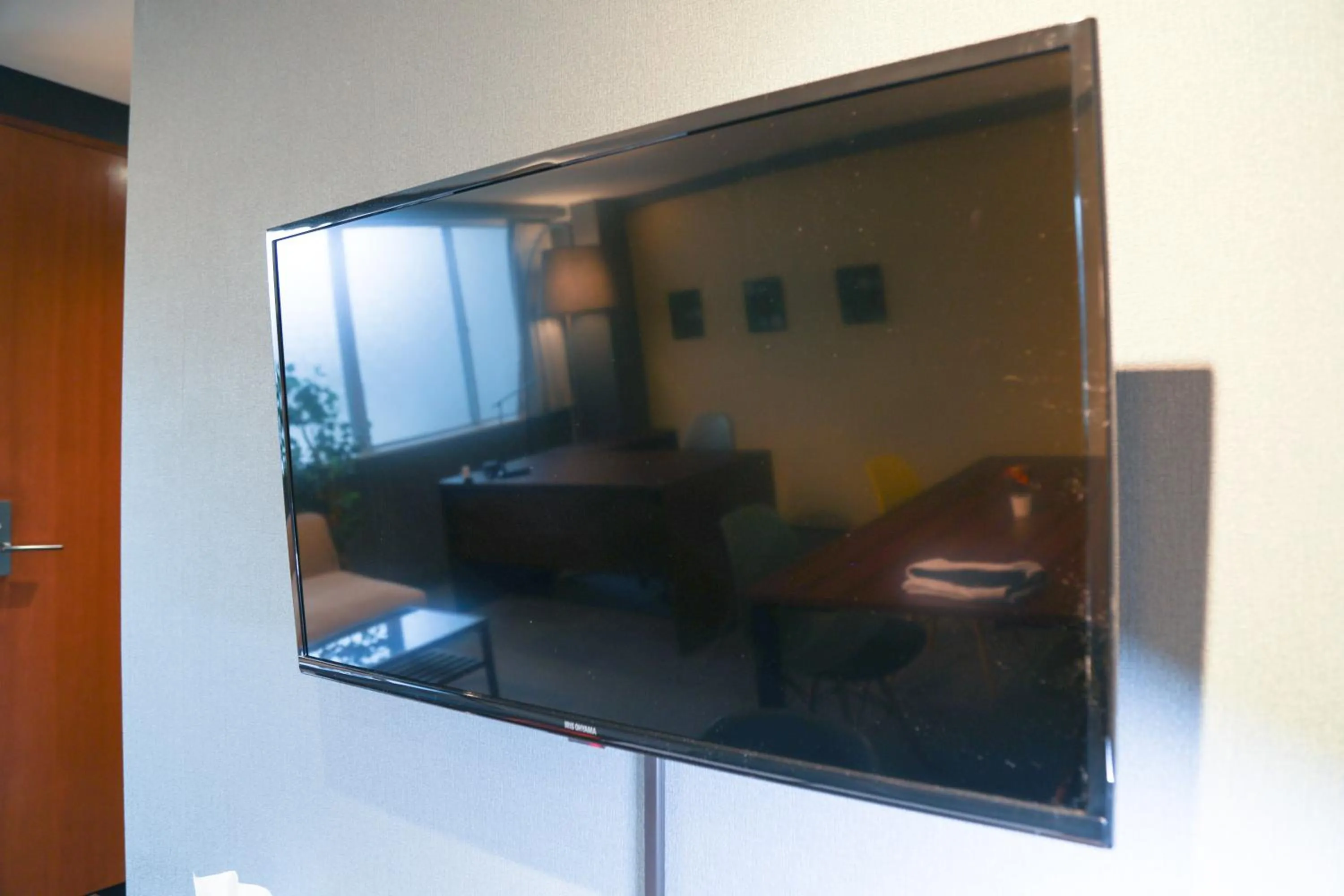 TV and multimedia in Hakata apartment